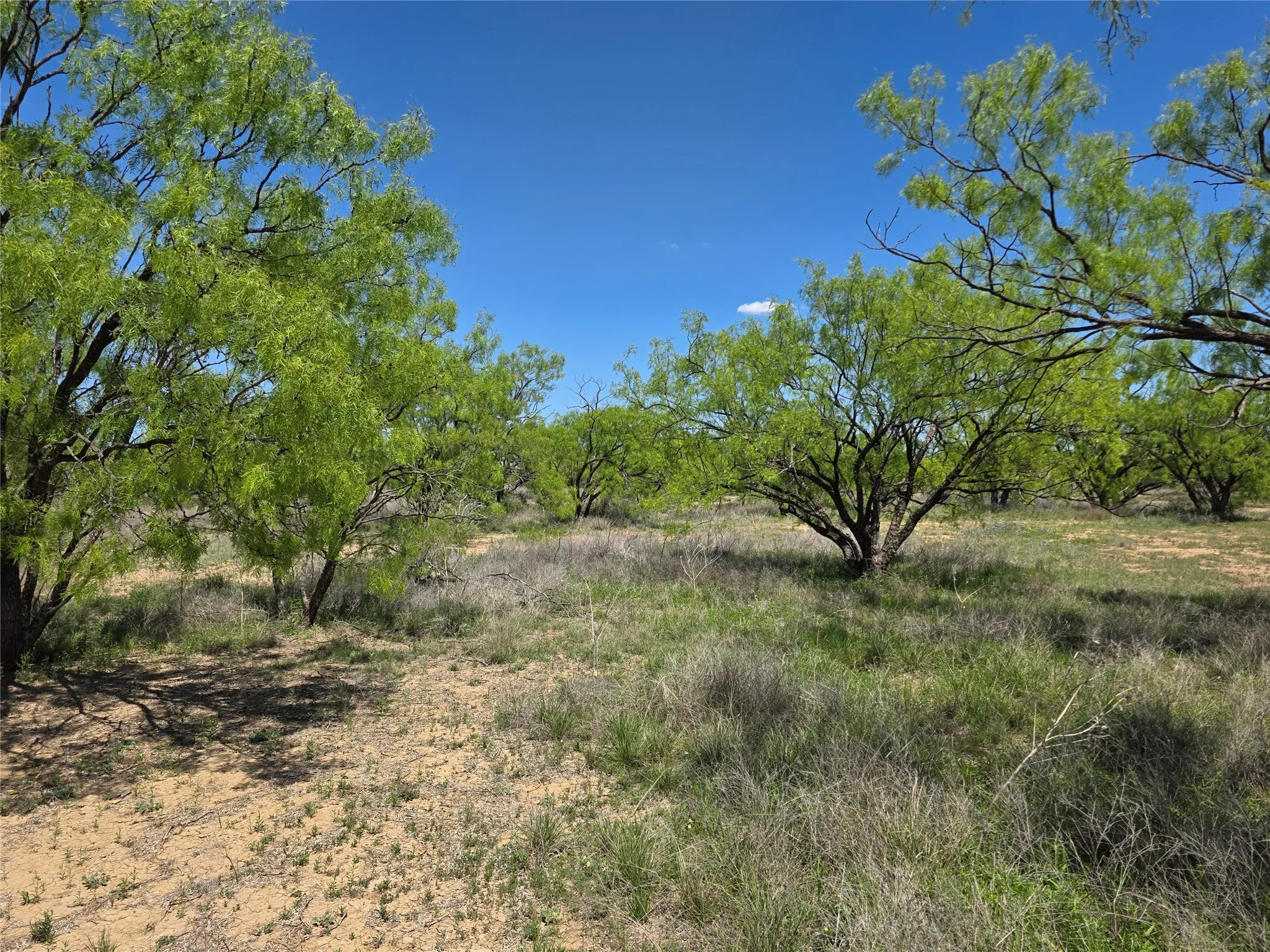 Single Family Residence For Sale in Coleman County , 1709 County Road 330, Voss, Texas 76888, 2 Bedrooms, 2 Bathrooms, 2 Garage spaces, 2,699 Sqft, built in 2000, Preowned, Price $1,074,850, mls#21187456, Real Estate Agent in Voss, Homes For Sale in Coleman county, Homes For Sale in Voss, Realtor in Voss Texas, Real Estate Brokerage Independent Realty Texas, Luminita Cordes Realtor