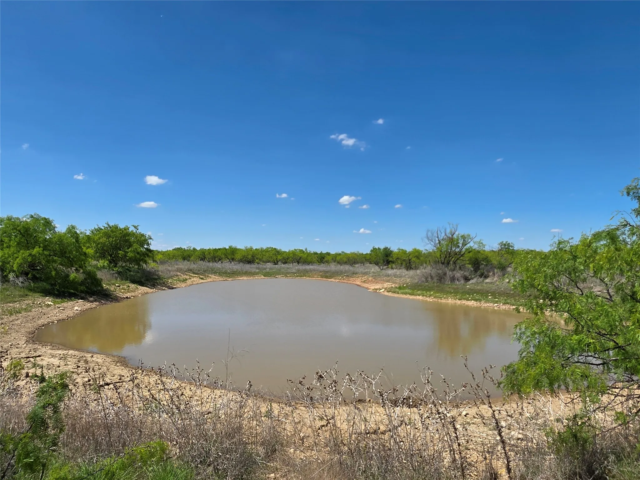 Single Family Residence For Sale in Coleman County , 1709 County Road 330, Voss, Texas 76888, 2 Bedrooms, 2 Bathrooms, 2 Garage spaces, 2,699 Sqft, built in 2000, Preowned, Price $1,074,850, mls#21187456, Real Estate Agent in Voss, Homes For Sale in Coleman county, Homes For Sale in Voss, Realtor in Voss Texas, Real Estate Brokerage Independent Realty Texas, Luminita Cordes Realtor