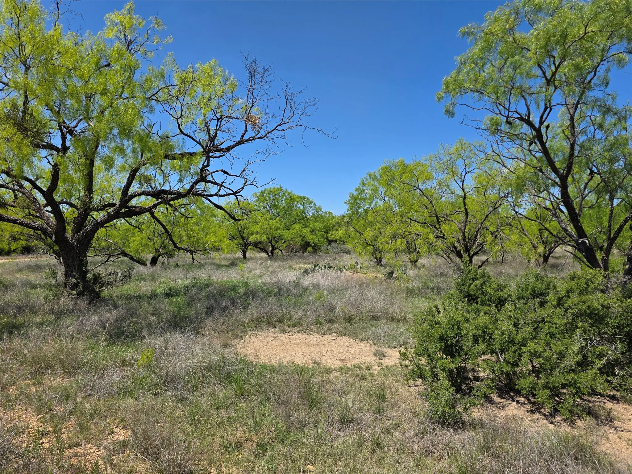Single Family Residence For Sale in Coleman County , 1709 County Road 330, Voss, Texas 76888, 2 Bedrooms, 2 Bathrooms, 2 Garage spaces, 2,699 Sqft, built in 2000, Preowned, Price $1,074,850, mls#21187456, Real Estate Agent in Voss, Homes For Sale in Coleman county, Homes For Sale in Voss, Realtor in Voss Texas, Real Estate Brokerage Independent Realty Texas, Luminita Cordes Realtor