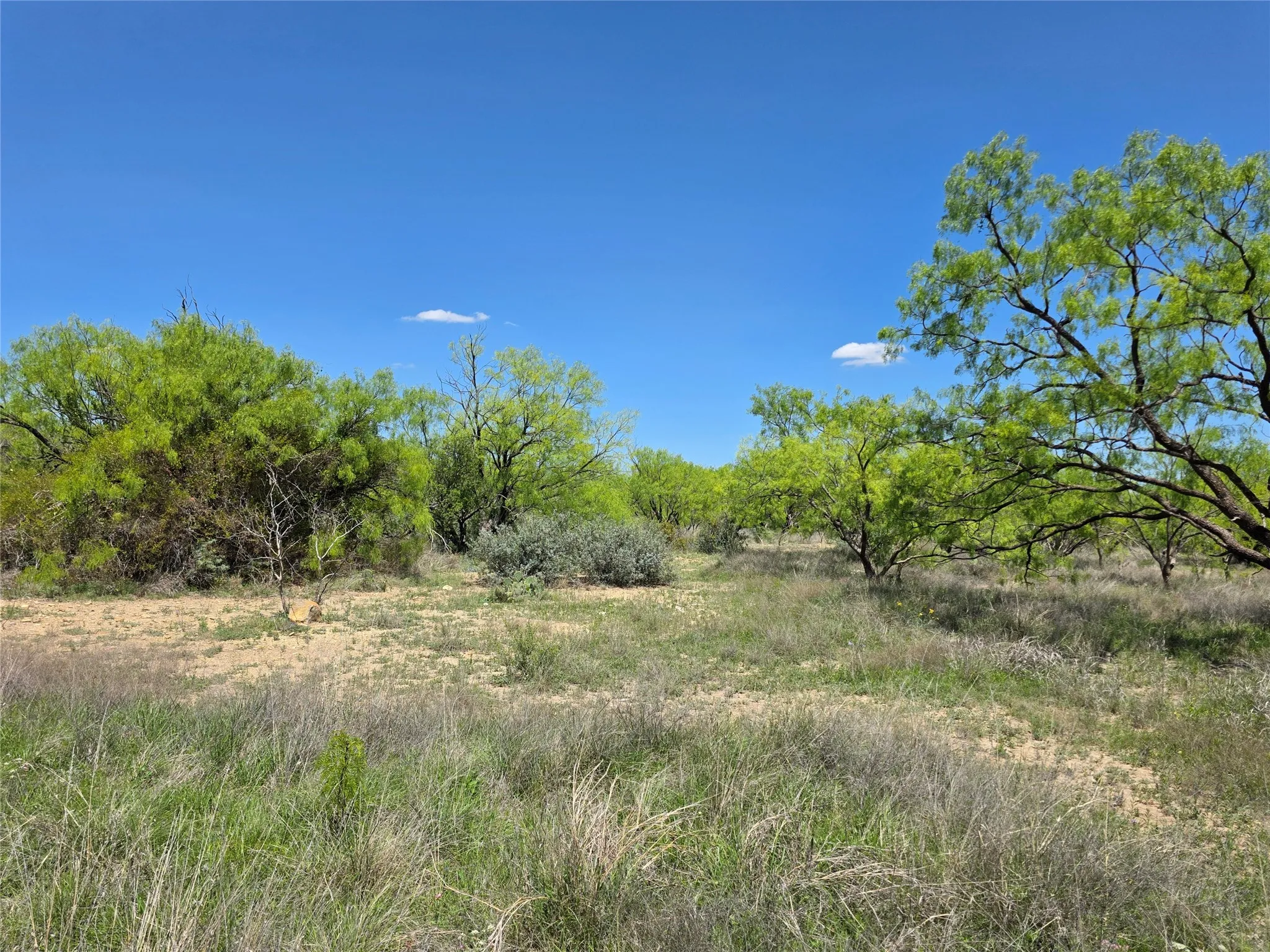 Single Family Residence For Sale in Coleman County , 1709 County Road 330, Voss, Texas 76888, 2 Bedrooms, 2 Bathrooms, 2 Garage spaces, 2,699 Sqft, built in 2000, Preowned, Price $1,074,850, mls#21187456, Real Estate Agent in Voss, Homes For Sale in Coleman county, Homes For Sale in Voss, Realtor in Voss Texas, Real Estate Brokerage Independent Realty Texas, Luminita Cordes Realtor