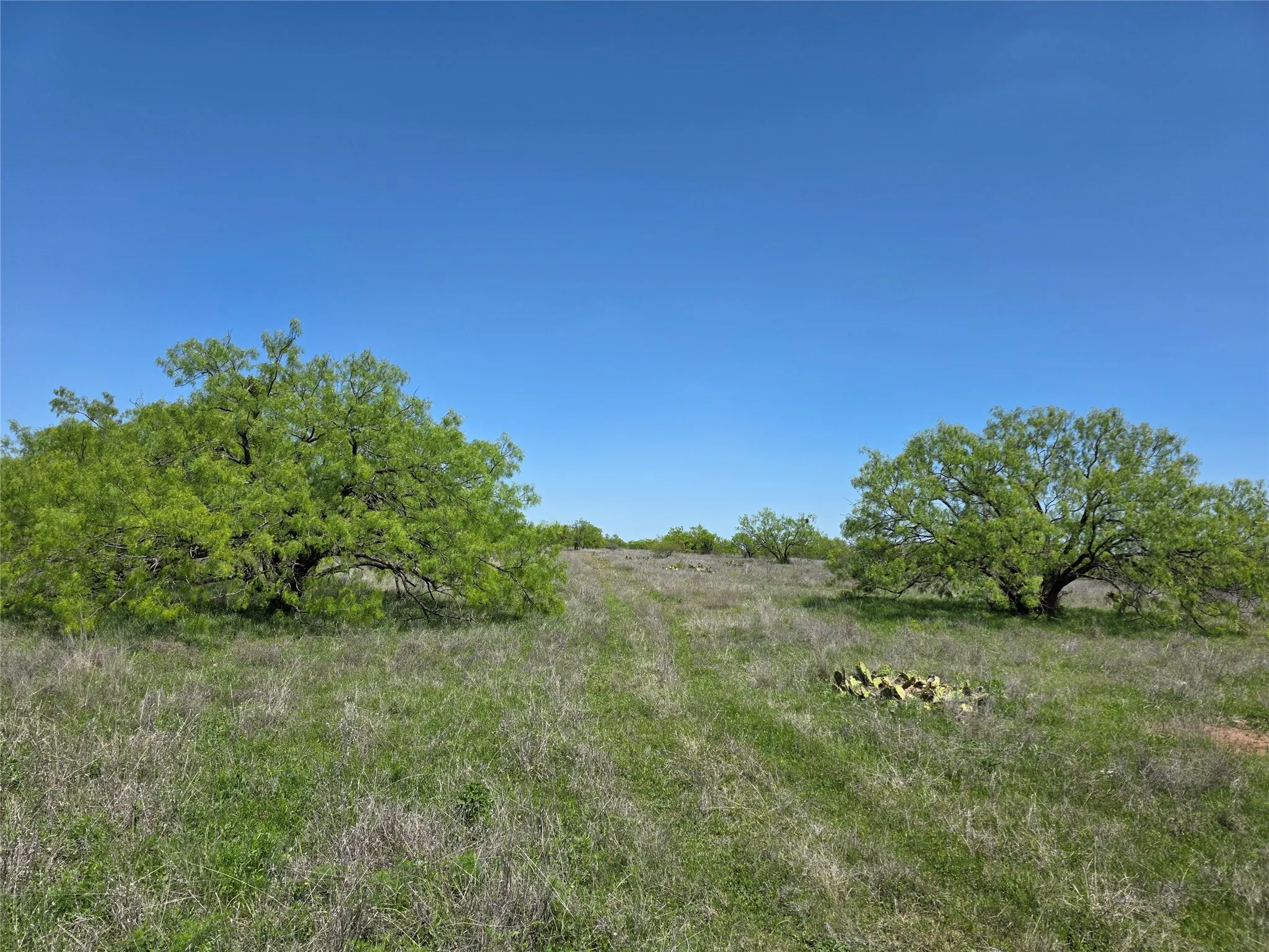 Single Family Residence For Sale in Coleman County , 1709 County Road 330, Voss, Texas 76888, 2 Bedrooms, 2 Bathrooms, 2 Garage spaces, 2,699 Sqft, built in 2000, Preowned, Price $1,074,850, mls#21187456, Real Estate Agent in Voss, Homes For Sale in Coleman county, Homes For Sale in Voss, Realtor in Voss Texas, Real Estate Brokerage Independent Realty Texas, Luminita Cordes Realtor