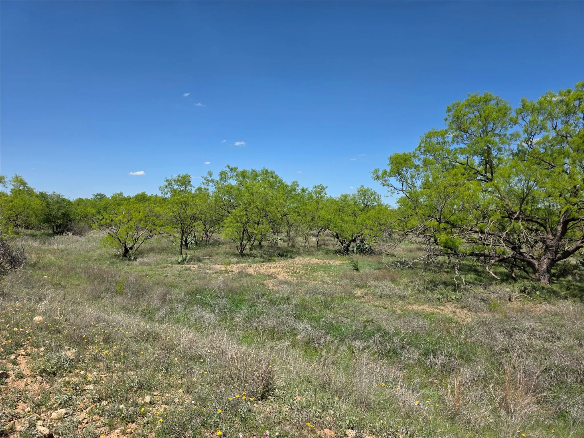 Single Family Residence For Sale in Coleman County , 1709 County Road 330, Voss, Texas 76888, 2 Bedrooms, 2 Bathrooms, 2 Garage spaces, 2,699 Sqft, built in 2000, Preowned, Price $1,074,850, mls#21187456, Real Estate Agent in Voss, Homes For Sale in Coleman county, Homes For Sale in Voss, Realtor in Voss Texas, Real Estate Brokerage Independent Realty Texas, Luminita Cordes Realtor