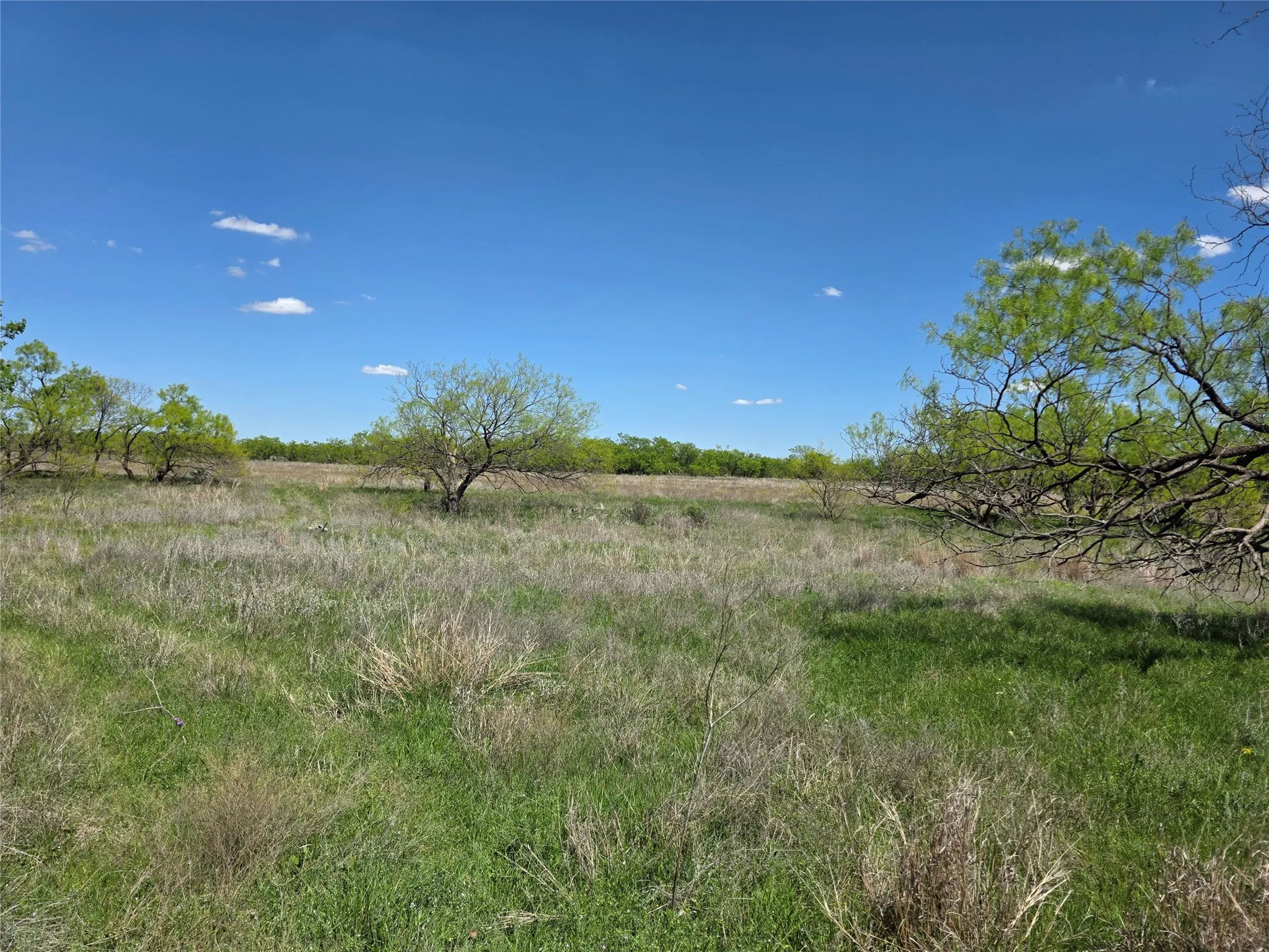 Single Family Residence For Sale in Coleman County , 1709 County Road 330, Voss, Texas 76888, 2 Bedrooms, 2 Bathrooms, 2 Garage spaces, 2,699 Sqft, built in 2000, Preowned, Price $1,074,850, mls#21187456, Real Estate Agent in Voss, Homes For Sale in Coleman county, Homes For Sale in Voss, Realtor in Voss Texas, Real Estate Brokerage Independent Realty Texas, Luminita Cordes Realtor