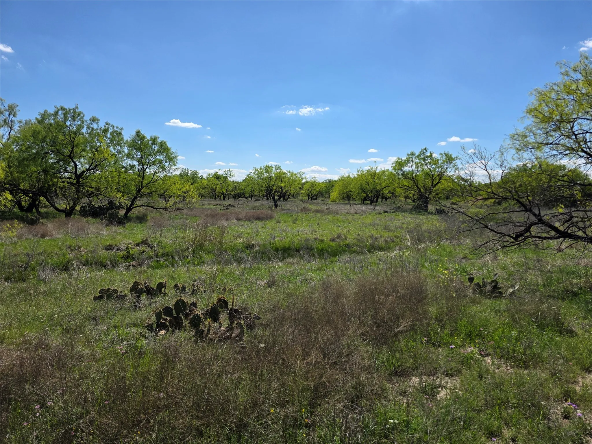 Single Family Residence For Sale in Coleman County , 1709 County Road 330, Voss, Texas 76888, 2 Bedrooms, 2 Bathrooms, 2 Garage spaces, 2,699 Sqft, built in 2000, Preowned, Price $1,074,850, mls#21187456, Real Estate Agent in Voss, Homes For Sale in Coleman county, Homes For Sale in Voss, Realtor in Voss Texas, Real Estate Brokerage Independent Realty Texas, Luminita Cordes Realtor
