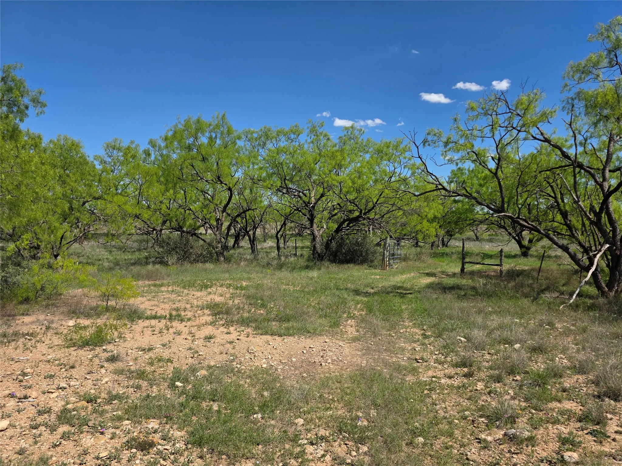 Single Family Residence For Sale in Coleman County , 1709 County Road 330, Voss, Texas 76888, 2 Bedrooms, 2 Bathrooms, 2 Garage spaces, 2,699 Sqft, built in 2000, Preowned, Price $1,074,850, mls#21187456, Real Estate Agent in Voss, Homes For Sale in Coleman county, Homes For Sale in Voss, Realtor in Voss Texas, Real Estate Brokerage Independent Realty Texas, Luminita Cordes Realtor