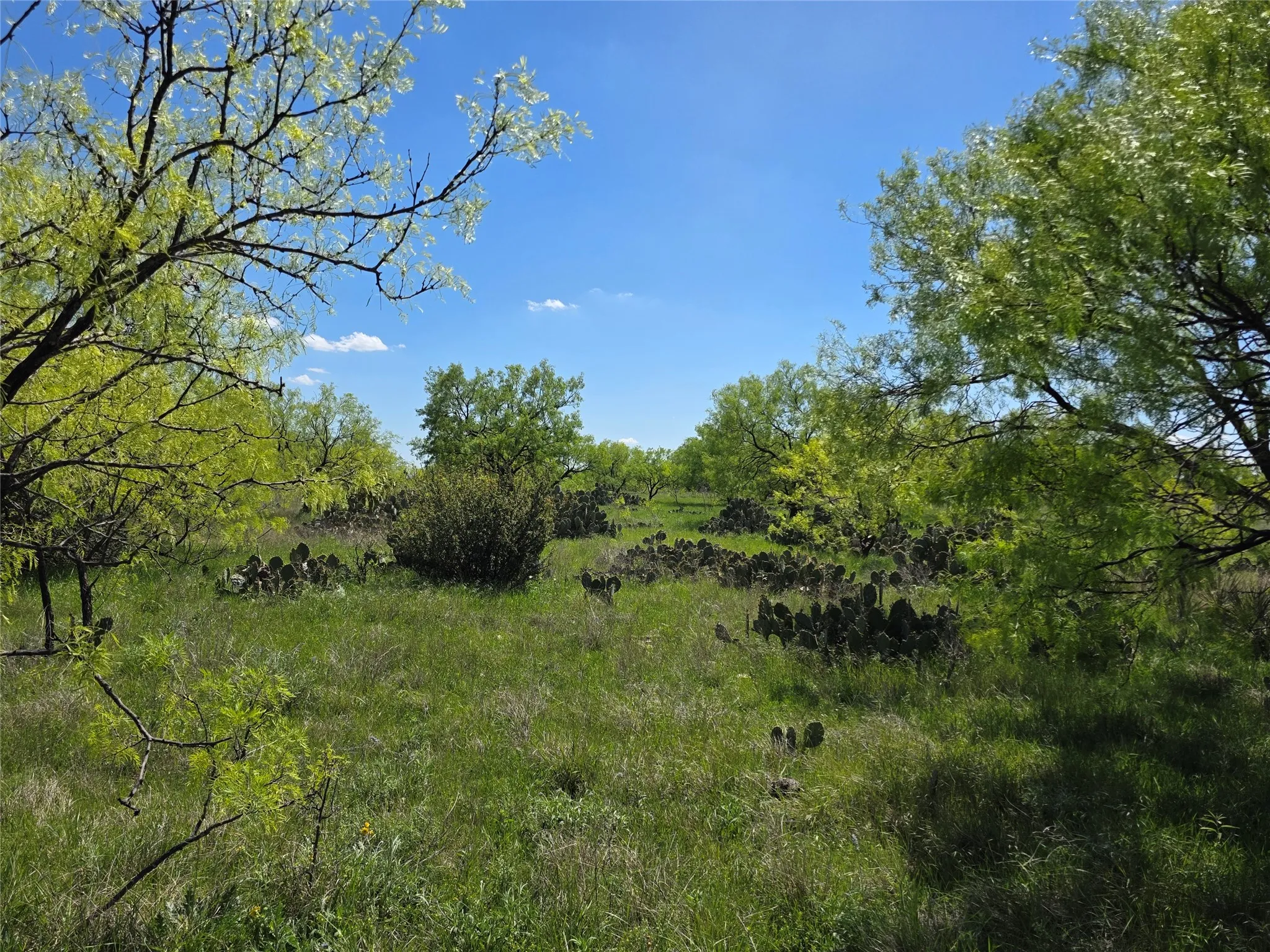 Single Family Residence For Sale in Coleman County , 1709 County Road 330, Voss, Texas 76888, 2 Bedrooms, 2 Bathrooms, 2 Garage spaces, 2,699 Sqft, built in 2000, Preowned, Price $1,074,850, mls#21187456, Real Estate Agent in Voss, Homes For Sale in Coleman county, Homes For Sale in Voss, Realtor in Voss Texas, Real Estate Brokerage Independent Realty Texas, Luminita Cordes Realtor