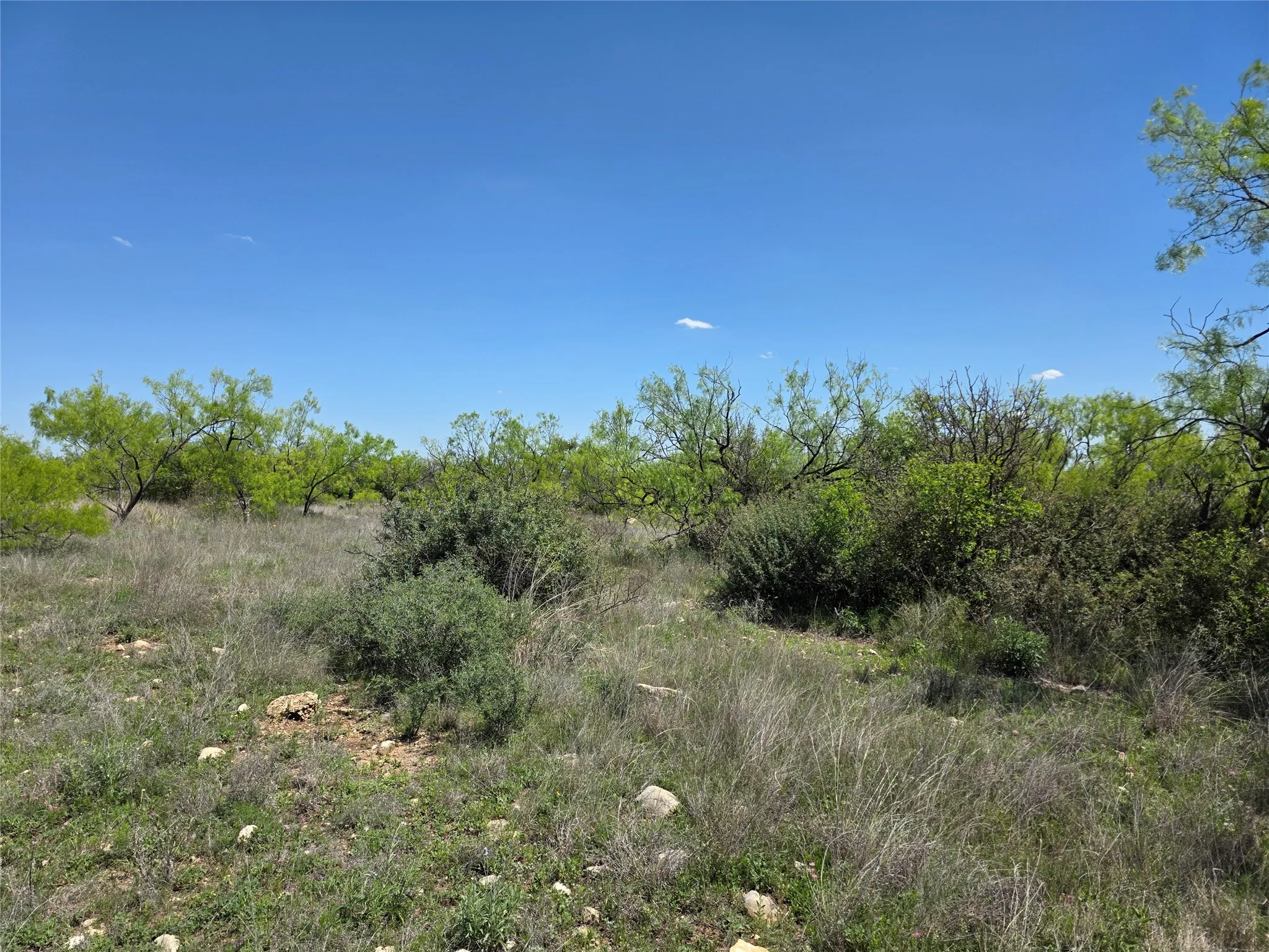 Single Family Residence For Sale in Coleman County , 1709 County Road 330, Voss, Texas 76888, 2 Bedrooms, 2 Bathrooms, 2 Garage spaces, 2,699 Sqft, built in 2000, Preowned, Price $1,074,850, mls#21187456, Real Estate Agent in Voss, Homes For Sale in Coleman county, Homes For Sale in Voss, Realtor in Voss Texas, Real Estate Brokerage Independent Realty Texas, Luminita Cordes Realtor
