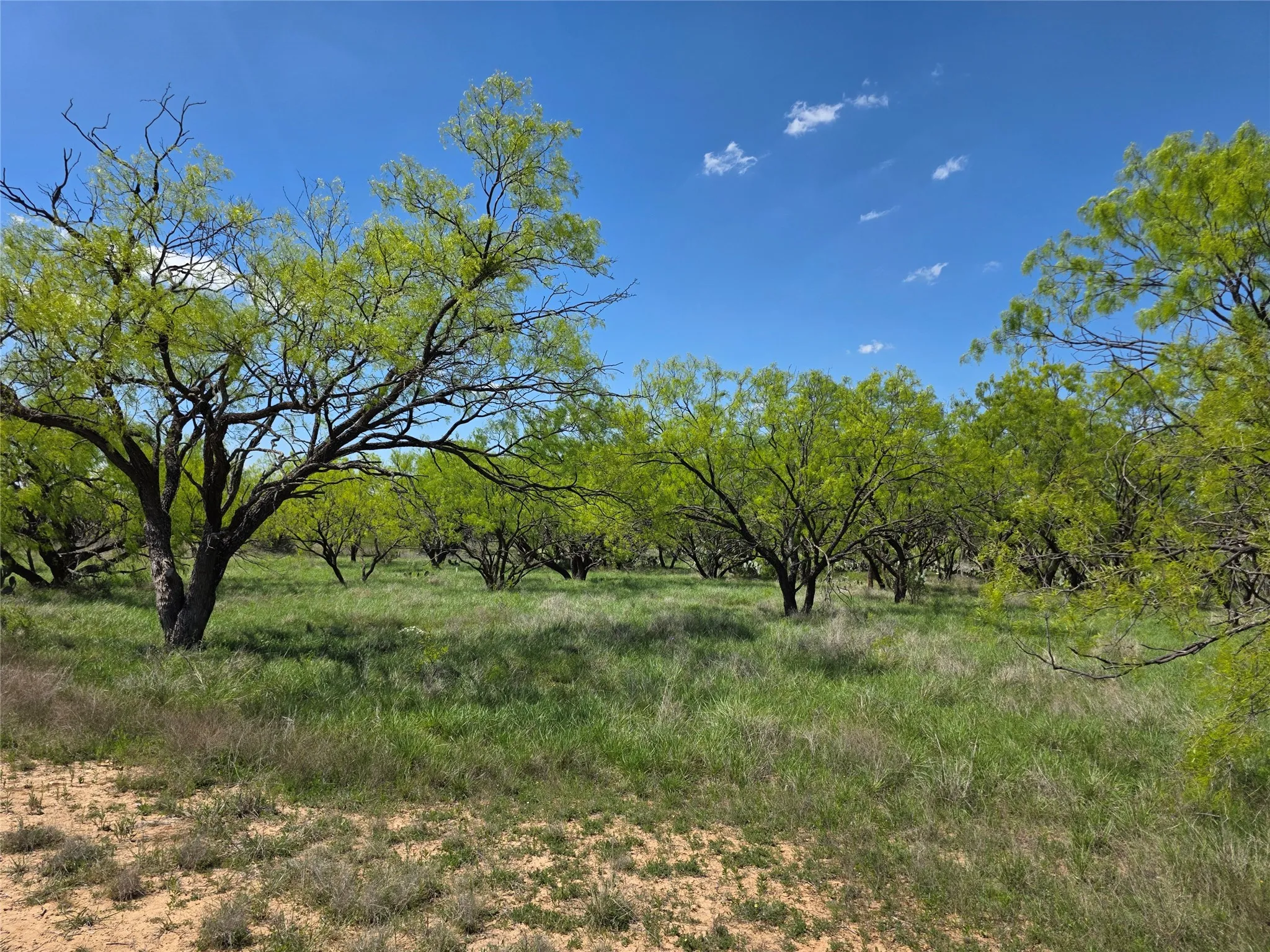 Single Family Residence For Sale in Coleman County , 1709 County Road 330, Voss, Texas 76888, 2 Bedrooms, 2 Bathrooms, 2 Garage spaces, 2,699 Sqft, built in 2000, Preowned, Price $1,074,850, mls#21187456, Real Estate Agent in Voss, Homes For Sale in Coleman county, Homes For Sale in Voss, Realtor in Voss Texas, Real Estate Brokerage Independent Realty Texas, Luminita Cordes Realtor
