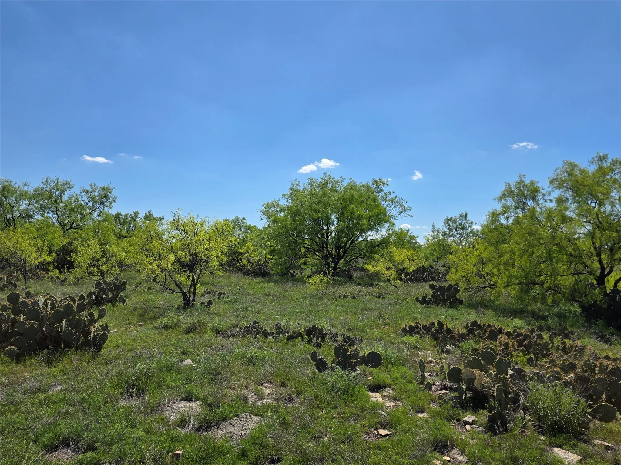 Single Family Residence For Sale in Coleman County , 1709 County Road 330, Voss, Texas 76888, 2 Bedrooms, 2 Bathrooms, 2 Garage spaces, 2,699 Sqft, built in 2000, Preowned, Price $1,074,850, mls#21187456, Real Estate Agent in Voss, Homes For Sale in Coleman county, Homes For Sale in Voss, Realtor in Voss Texas, Real Estate Brokerage Independent Realty Texas, Luminita Cordes Realtor