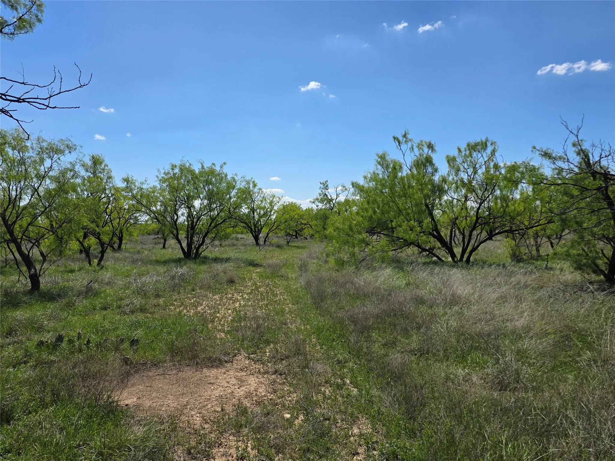Single Family Residence For Sale in Coleman County , 1709 County Road 330, Voss, Texas 76888, 2 Bedrooms, 2 Bathrooms, 2 Garage spaces, 2,699 Sqft, built in 2000, Preowned, Price $1,074,850, mls#21187456, Real Estate Agent in Voss, Homes For Sale in Coleman county, Homes For Sale in Voss, Realtor in Voss Texas, Real Estate Brokerage Independent Realty Texas, Luminita Cordes Realtor