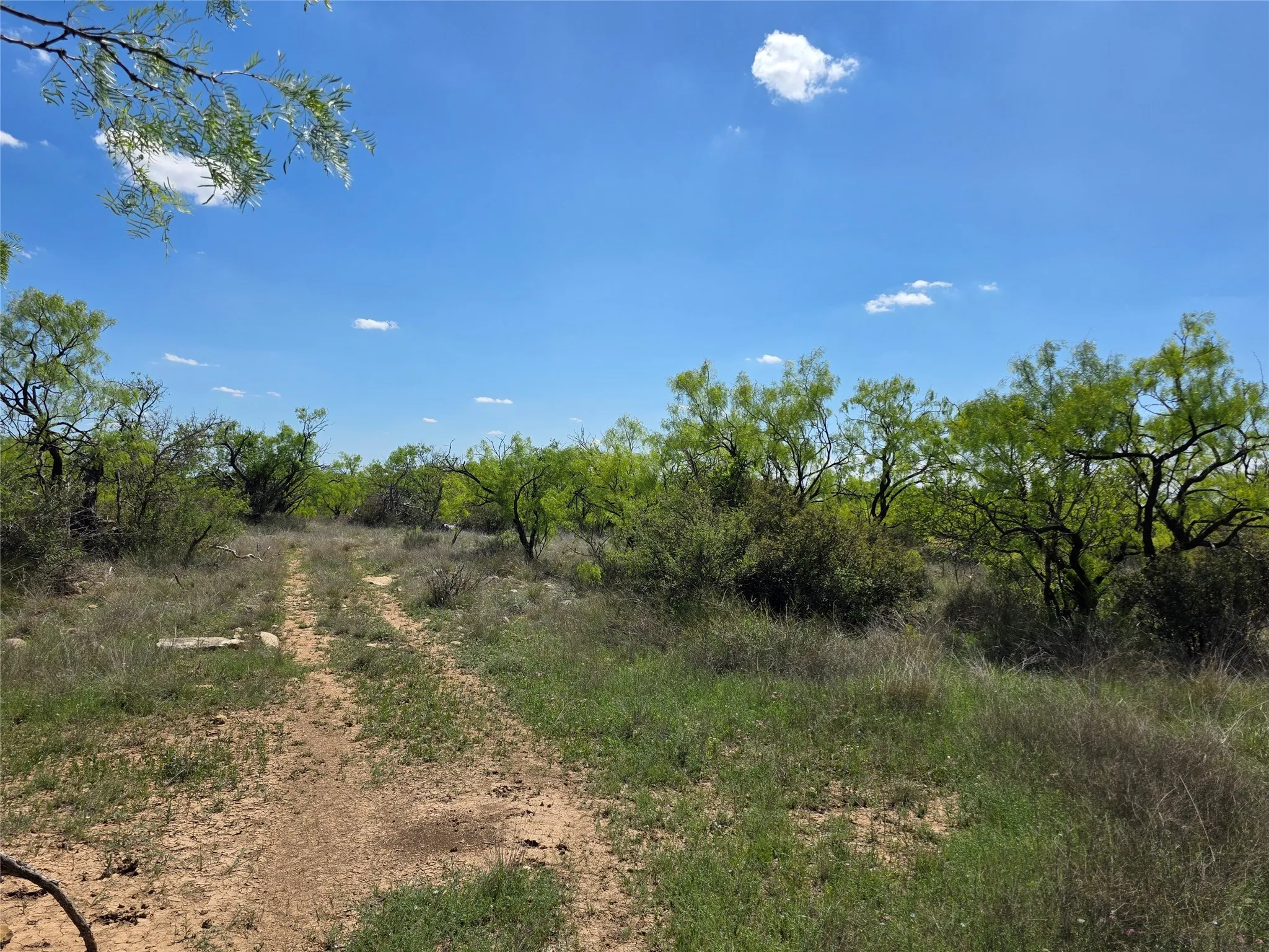 Single Family Residence For Sale in Coleman County , 1709 County Road 330, Voss, Texas 76888, 2 Bedrooms, 2 Bathrooms, 2 Garage spaces, 2,699 Sqft, built in 2000, Preowned, Price $1,074,850, mls#21187456, Real Estate Agent in Voss, Homes For Sale in Coleman county, Homes For Sale in Voss, Realtor in Voss Texas, Real Estate Brokerage Independent Realty Texas, Luminita Cordes Realtor