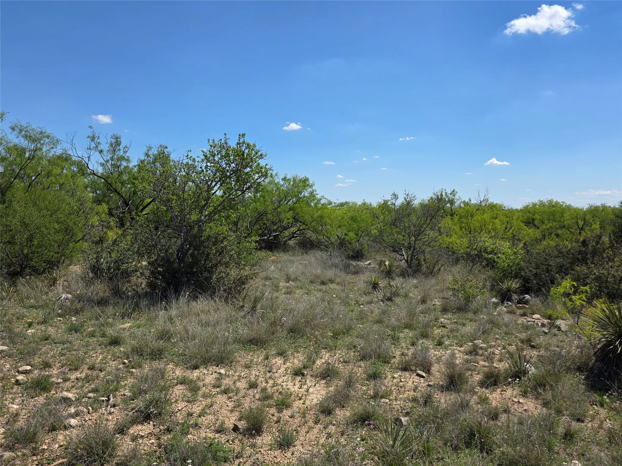 Single Family Residence For Sale in Coleman County , 1709 County Road 330, Voss, Texas 76888, 2 Bedrooms, 2 Bathrooms, 2 Garage spaces, 2,699 Sqft, built in 2000, Preowned, Price $1,074,850, mls#21187456, Real Estate Agent in Voss, Homes For Sale in Coleman county, Homes For Sale in Voss, Realtor in Voss Texas, Real Estate Brokerage Independent Realty Texas, Luminita Cordes Realtor