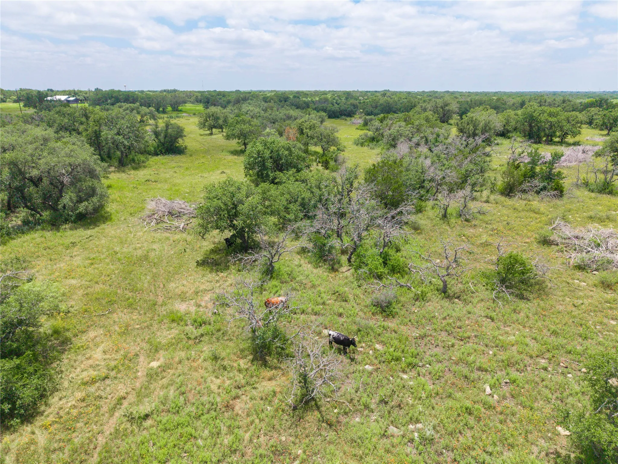 Single Family Residence For Sale in Brown County , 3415 Farm Market 1849, Brownwood, Texas 76801, 2 Bedrooms, 2 Bathrooms, Garage spaces, 1,344 Sqft, built in 0, Price $449,000, mls#21182272, Real Estate Agent in Brownwood, Homes For Sale in Brown county, Homes For Sale in Brownwood, Realtor in Brownwood Texas, Real Estate Brokerage Independent Realty Texas, Luminita Cordes Realtor