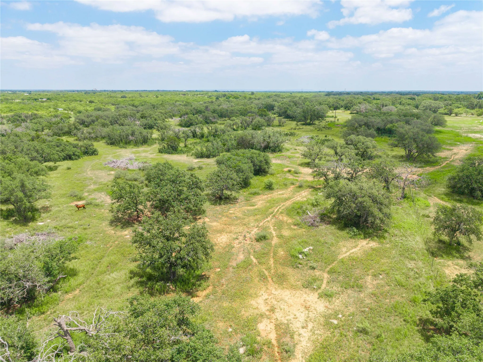 Single Family Residence For Sale in Brown County , 3415 Farm Market 1849, Brownwood, Texas 76801, 2 Bedrooms, 2 Bathrooms, Garage spaces, 1,344 Sqft, built in 0, Price $449,000, mls#21182272, Real Estate Agent in Brownwood, Homes For Sale in Brown county, Homes For Sale in Brownwood, Realtor in Brownwood Texas, Real Estate Brokerage Independent Realty Texas, Luminita Cordes Realtor