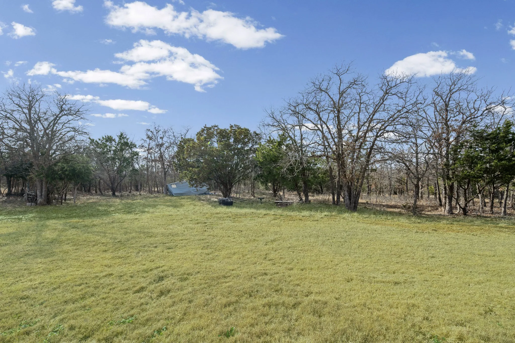 Backyard with mature trees.