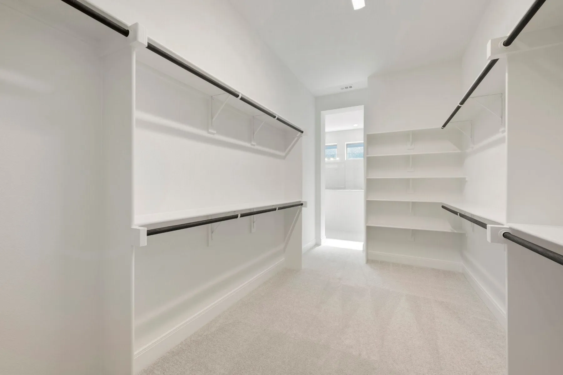 Expansive walk-in closet featuring white built-in shelving, black hanging rods, and light-colored carpeting