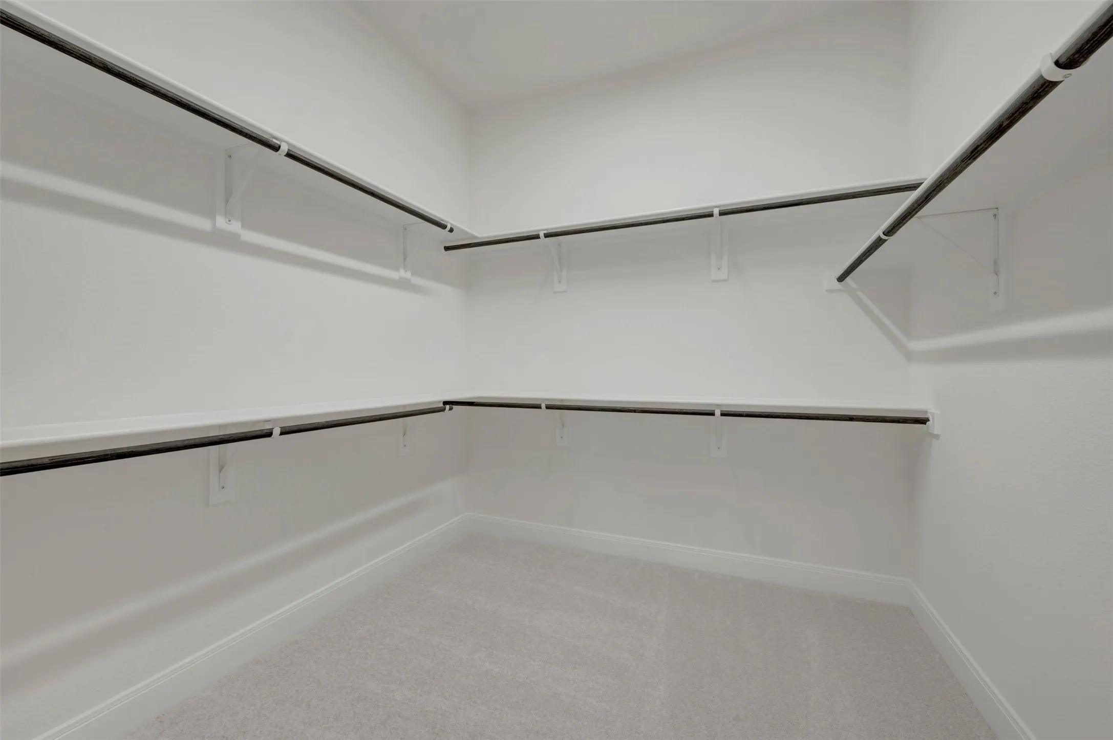 Spacious walk-in closet featuring light gray carpeting, white walls, multiple built-in shelving units, and metal hanging rods