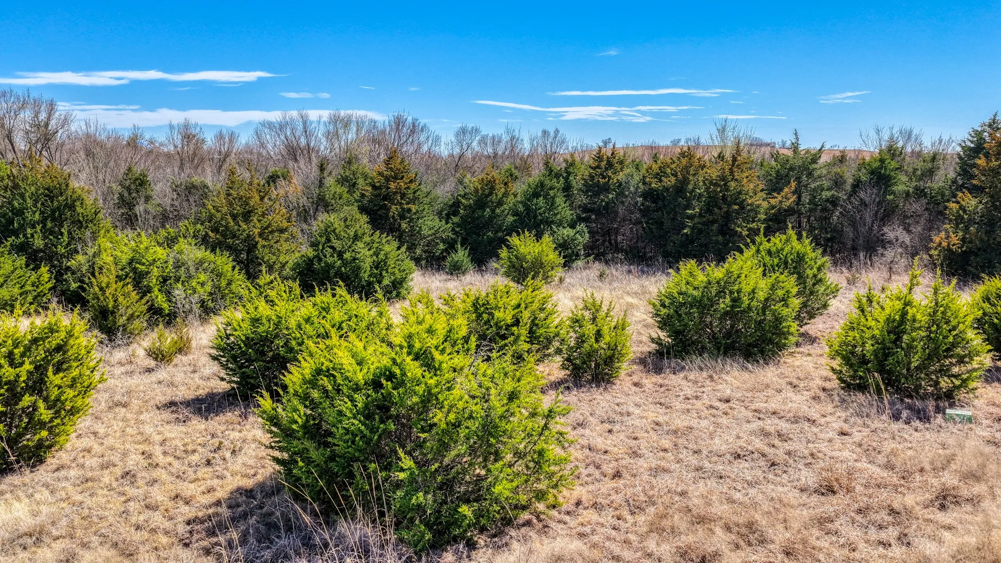 View of undeveloped land