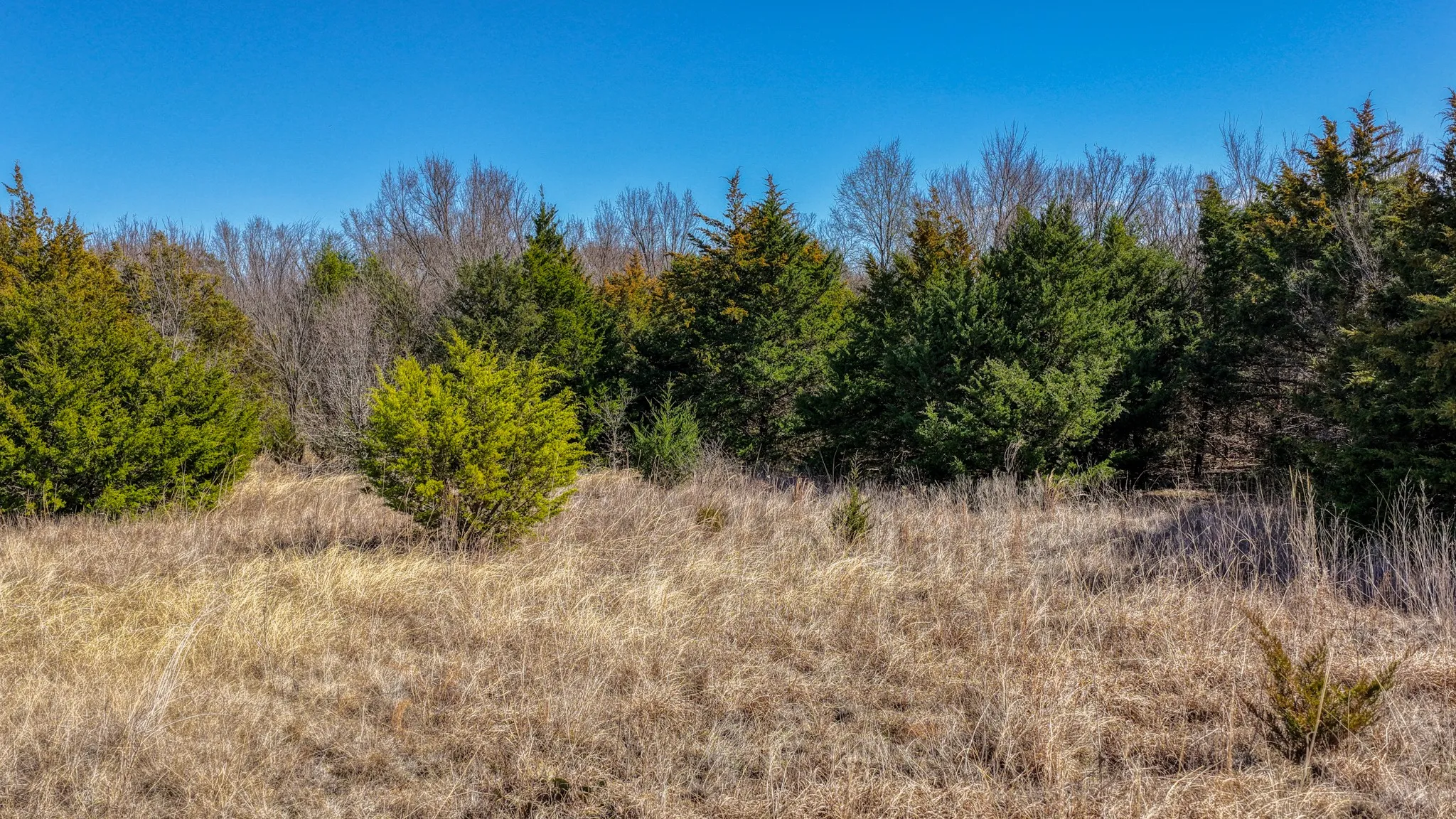 View of undeveloped land