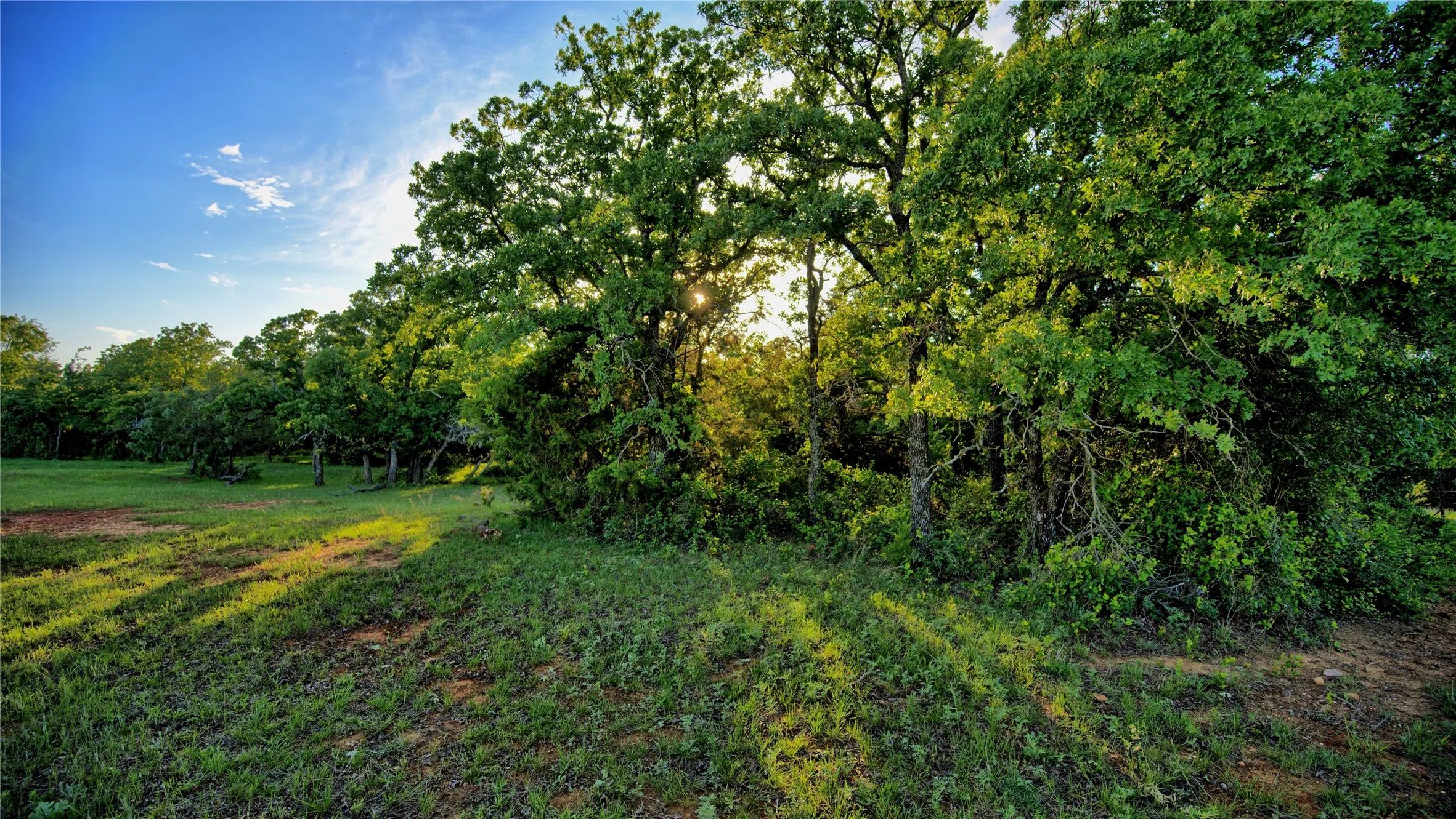 Farm For Sale in Montague County , 858 Ford Road, Bowie, Texas 76230, 3 Bedroom, 2 Bathroom, 3 Garage spaces, 1,706 Sqft, built in 1972, Price $1,595,000, mls#21188189, Real Estate Agent in Bowie, Homes For Sale in Montague county, Homes For Sale in Bowie, Realtor in Bowie Texas, Real Estate Brokerage Independent Realty Texas, Luminita Cordes Realtor