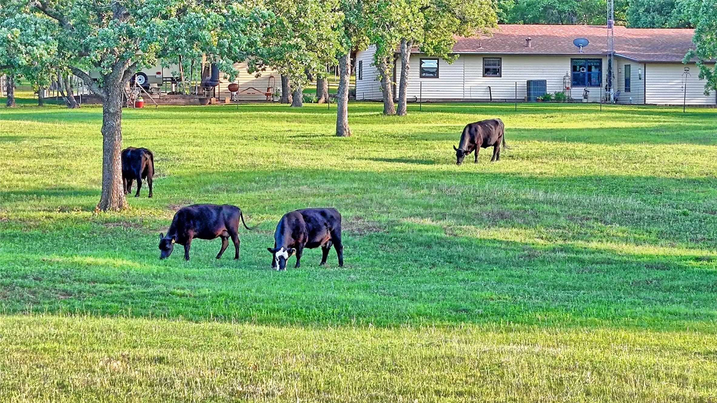 Farm For Sale in Montague County , 858 Ford Road, Bowie, Texas 76230, 3 Bedroom, 2 Bathroom, 3 Garage spaces, 1,706 Sqft, built in 1972, Price $1,595,000, mls#21188189, Real Estate Agent in Bowie, Homes For Sale in Montague county, Homes For Sale in Bowie, Realtor in Bowie Texas, Real Estate Brokerage Independent Realty Texas, Luminita Cordes Realtor