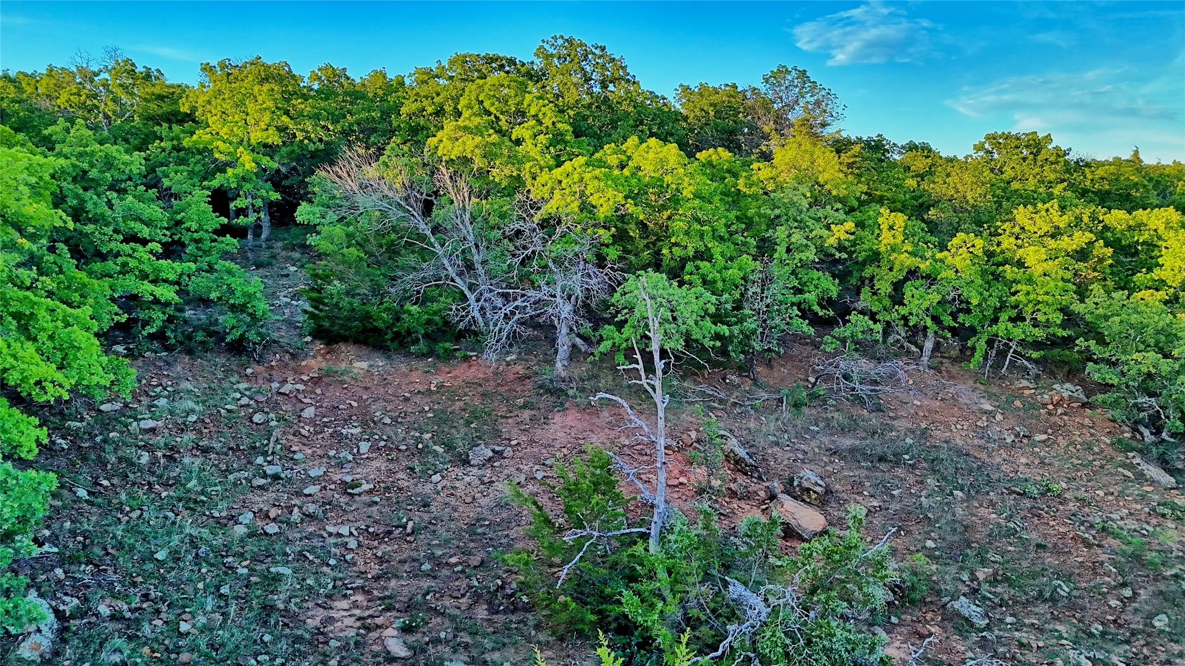 Farm For Sale in Montague County , 858 Ford Road, Bowie, Texas 76230, 3 Bedroom, 2 Bathroom, 3 Garage spaces, 1,706 Sqft, built in 1972, Price $1,595,000, mls#21188189, Real Estate Agent in Bowie, Homes For Sale in Montague county, Homes For Sale in Bowie, Realtor in Bowie Texas, Real Estate Brokerage Independent Realty Texas, Luminita Cordes Realtor