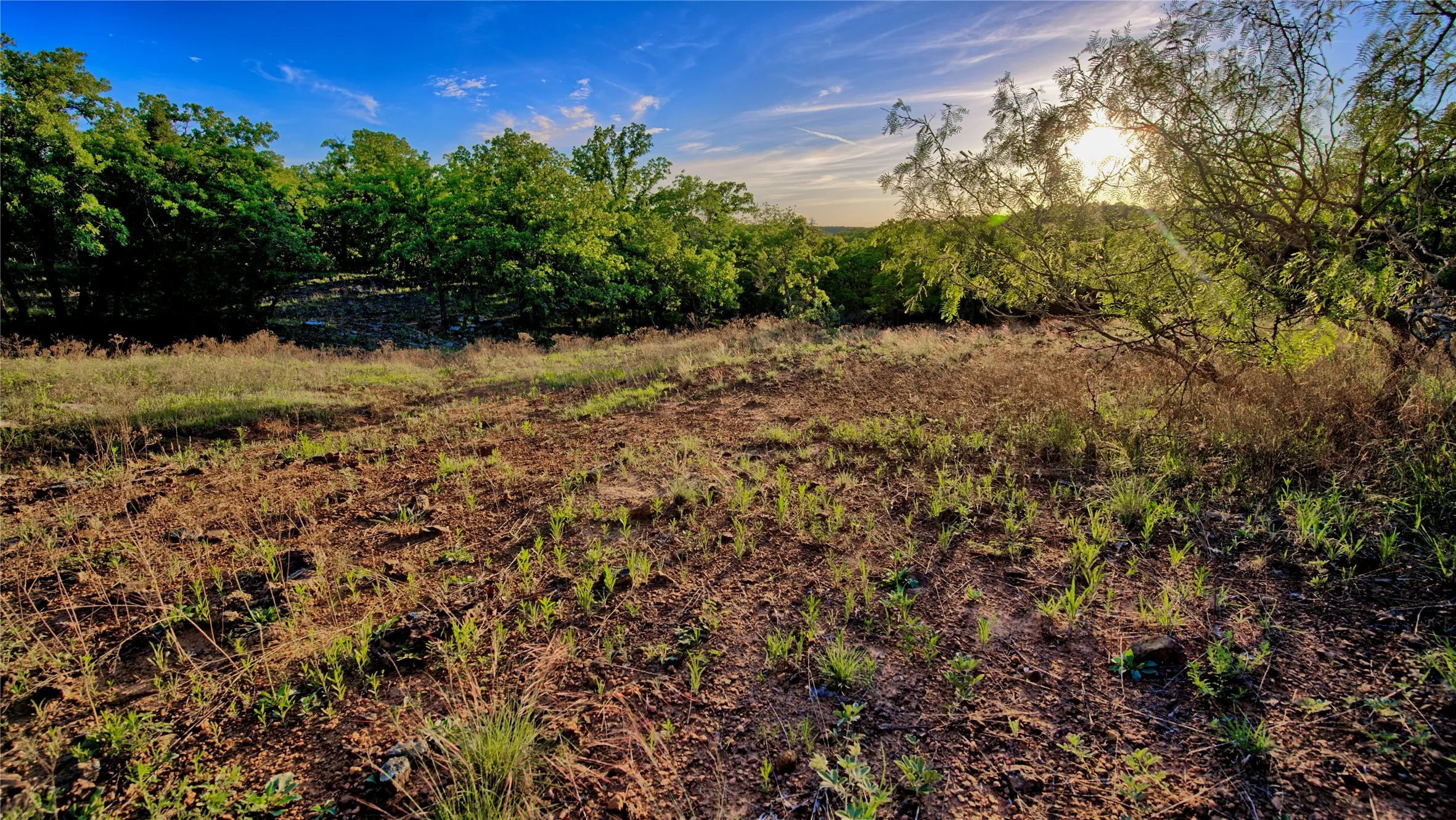 Farm For Sale in Montague County , 858 Ford Road, Bowie, Texas 76230, 3 Bedroom, 2 Bathroom, 3 Garage spaces, 1,706 Sqft, built in 1972, Price $1,595,000, mls#21188189, Real Estate Agent in Bowie, Homes For Sale in Montague county, Homes For Sale in Bowie, Realtor in Bowie Texas, Real Estate Brokerage Independent Realty Texas, Luminita Cordes Realtor