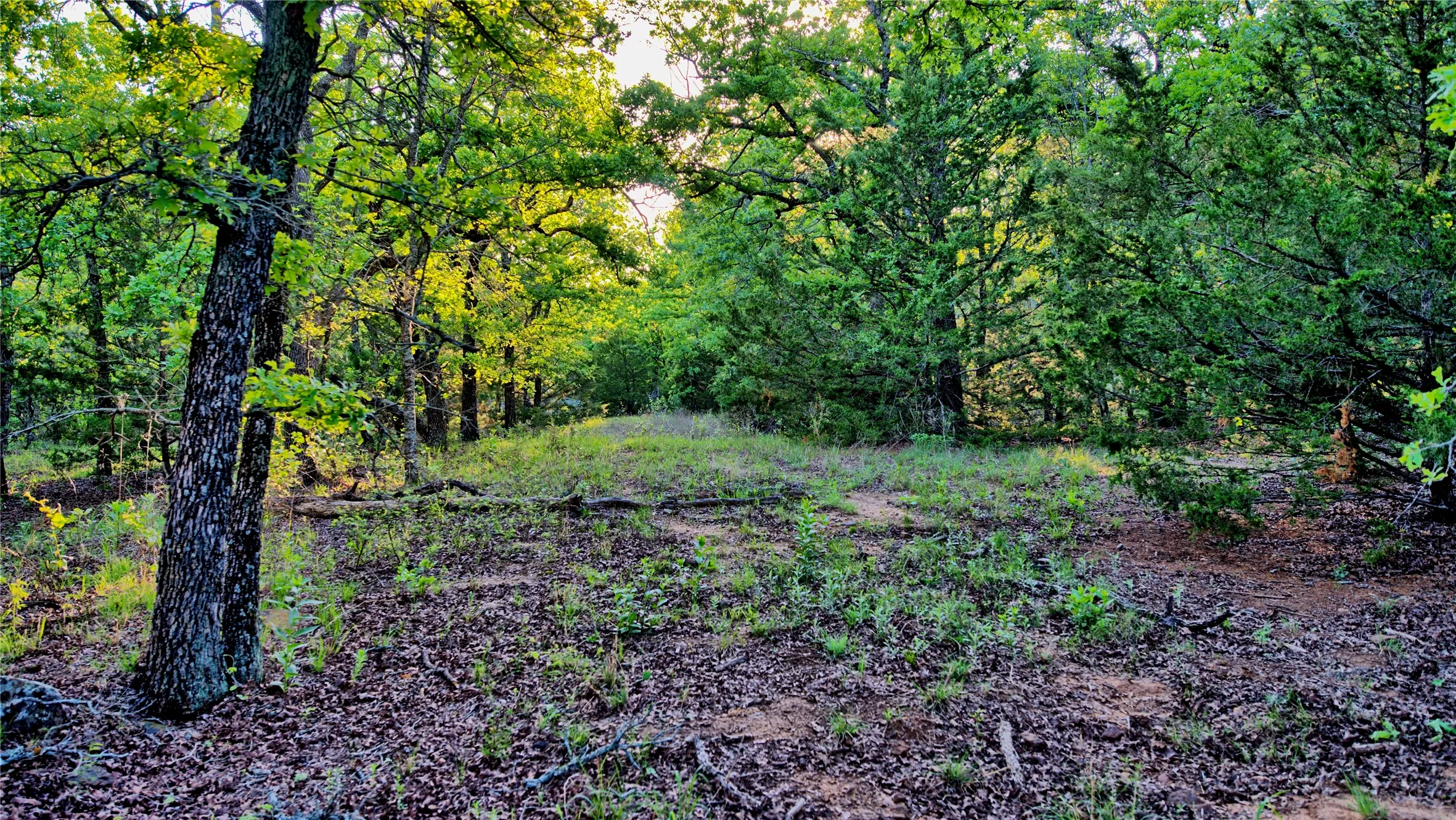 Farm For Sale in Montague County , 858 Ford Road, Bowie, Texas 76230, 3 Bedroom, 2 Bathroom, 3 Garage spaces, 1,706 Sqft, built in 1972, Price $1,595,000, mls#21188189, Real Estate Agent in Bowie, Homes For Sale in Montague county, Homes For Sale in Bowie, Realtor in Bowie Texas, Real Estate Brokerage Independent Realty Texas, Luminita Cordes Realtor