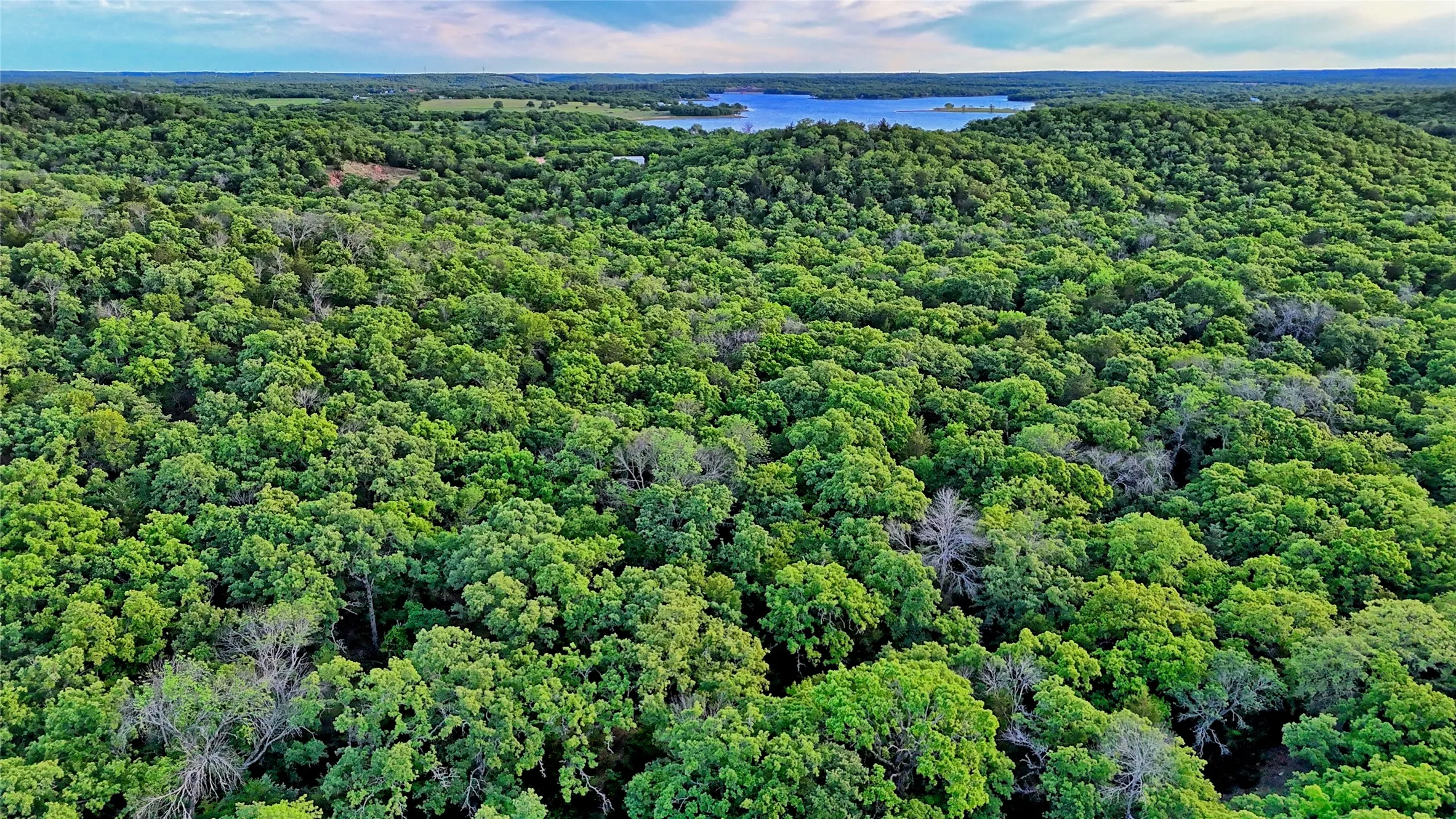 Farm For Sale in Montague County , 858 Ford Road, Bowie, Texas 76230, 3 Bedroom, 2 Bathroom, 3 Garage spaces, 1,706 Sqft, built in 1972, Price $1,595,000, mls#21188189, Real Estate Agent in Bowie, Homes For Sale in Montague county, Homes For Sale in Bowie, Realtor in Bowie Texas, Real Estate Brokerage Independent Realty Texas, Luminita Cordes Realtor