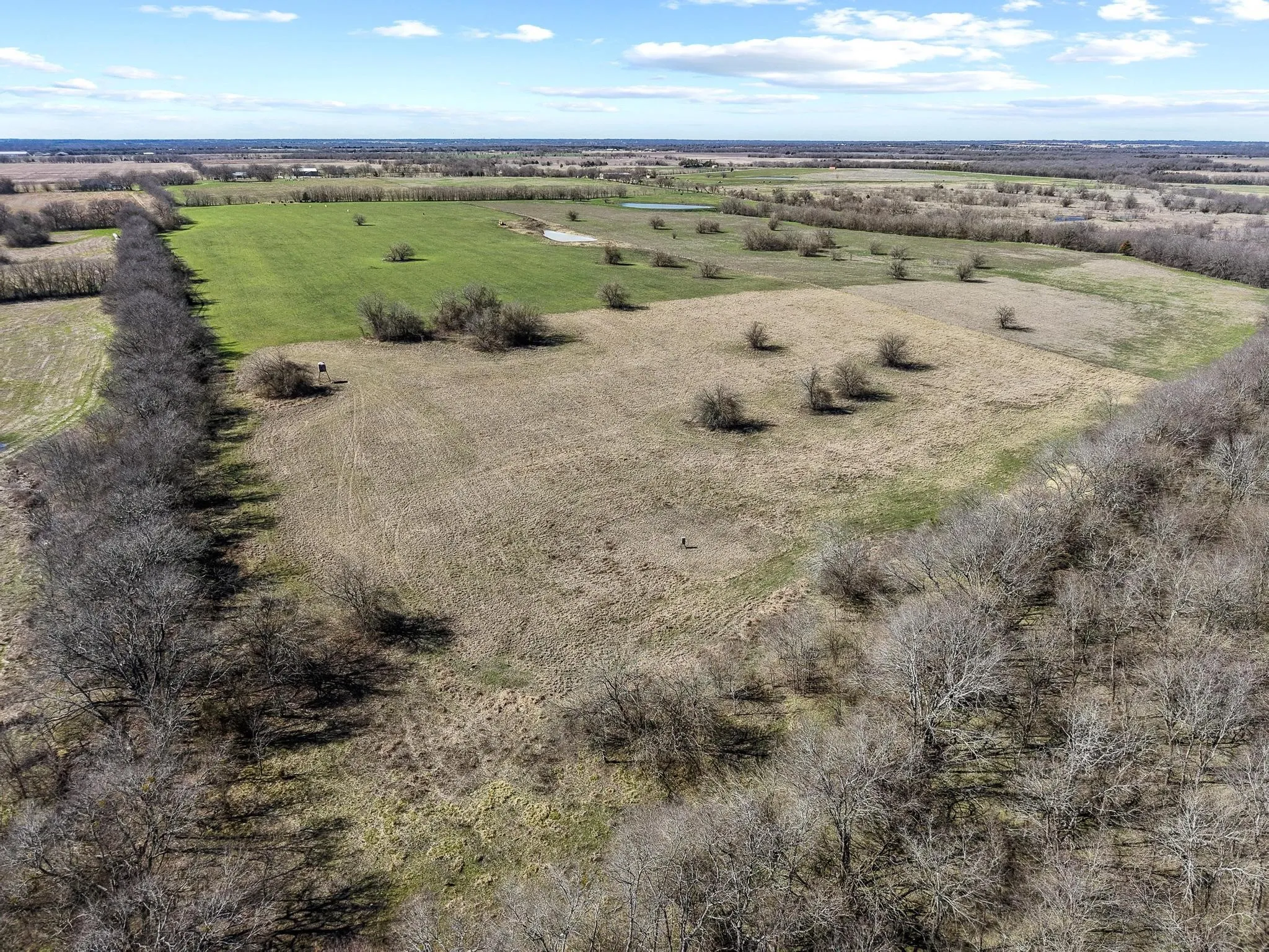 Improved Land For Sale in Hunt County , TBD County Road 4702, Commerce, Texas 75428, 0, 0, Garage spaces, 0 Sqft, built in 0, mls#21188205, Real Estate Agent in Commerce, Homes For Sale in Hunt county, Homes For Sale in Commerce, Realtor in Commerce Texas, Real Estate Brokerage Independent Realty Texas, Luminita Cordes Realtor