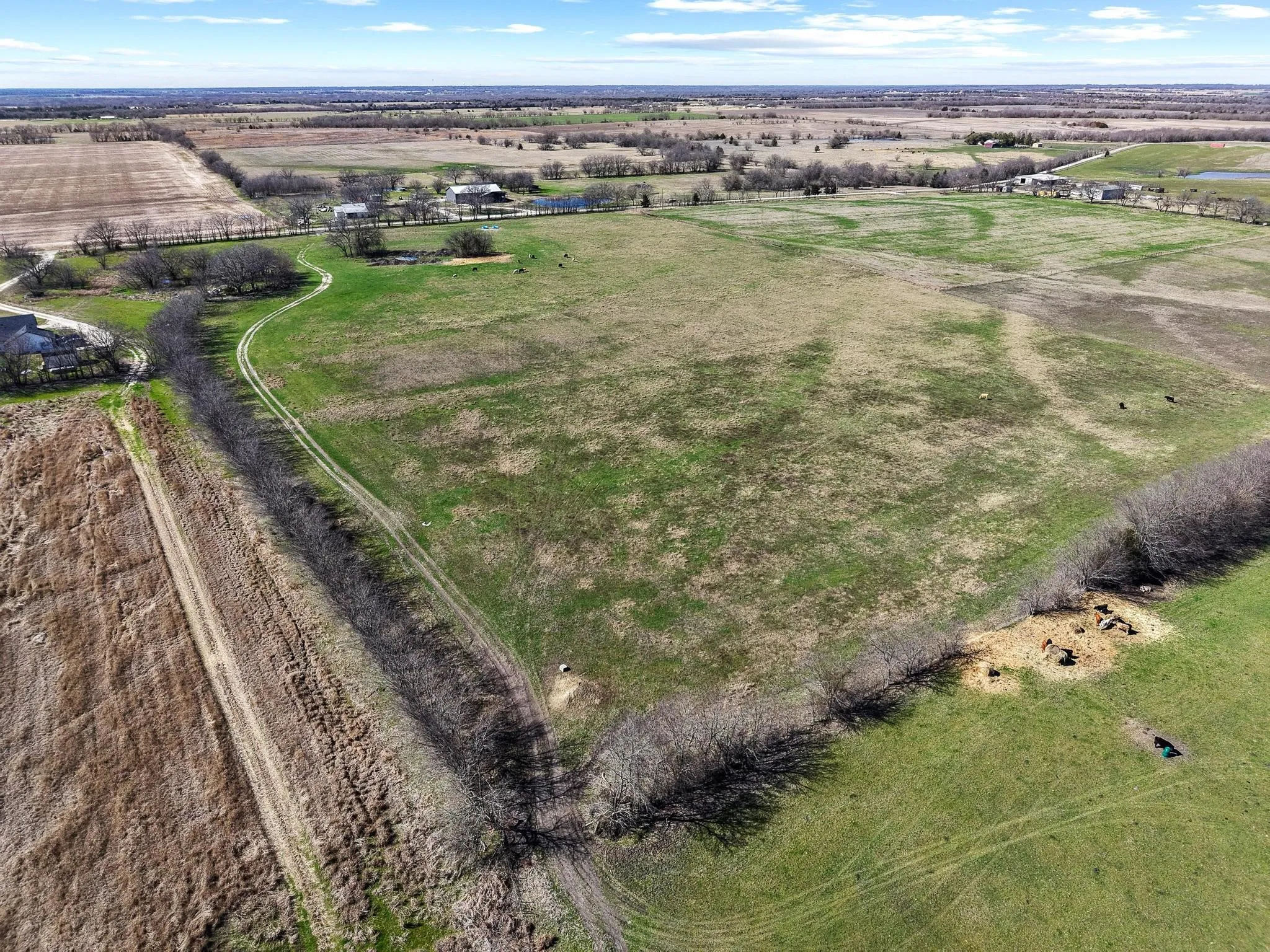 Improved Land For Sale in Hunt County , TBD County Road 4702, Commerce, Texas 75428, 0, 0, Garage spaces, 0 Sqft, built in 0, mls#21188205, Real Estate Agent in Commerce, Homes For Sale in Hunt county, Homes For Sale in Commerce, Realtor in Commerce Texas, Real Estate Brokerage Independent Realty Texas, Luminita Cordes Realtor