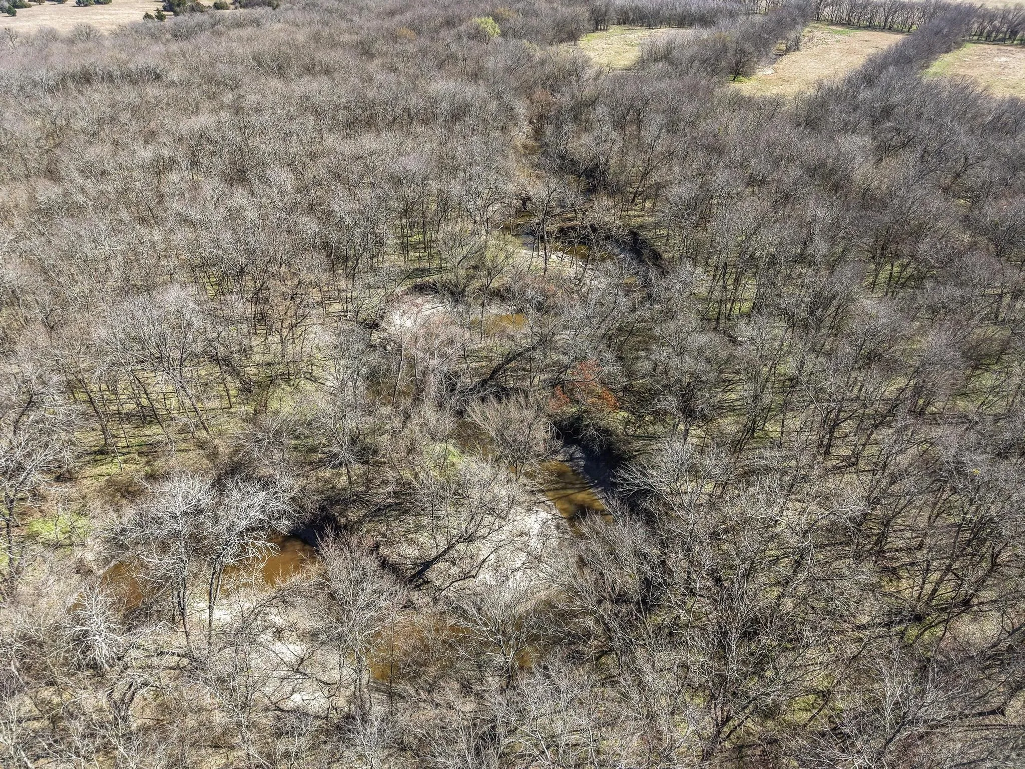 Improved Land For Sale in Hunt County , TBD County Road 4702, Commerce, Texas 75428, 0, 0, Garage spaces, 0 Sqft, built in 0, mls#21188205, Real Estate Agent in Commerce, Homes For Sale in Hunt county, Homes For Sale in Commerce, Realtor in Commerce Texas, Real Estate Brokerage Independent Realty Texas, Luminita Cordes Realtor