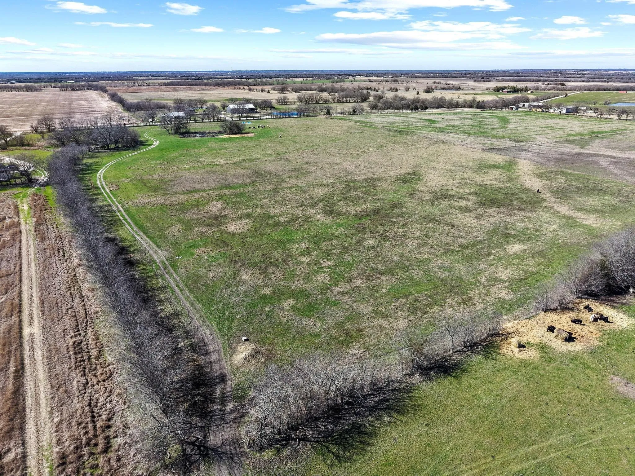 Improved Land For Sale in Hunt County , TBD County Road 4702, Commerce, Texas 75428, 0, 0, Garage spaces, 0 Sqft, built in 0, mls#21188205, Real Estate Agent in Commerce, Homes For Sale in Hunt county, Homes For Sale in Commerce, Realtor in Commerce Texas, Real Estate Brokerage Independent Realty Texas, Luminita Cordes Realtor