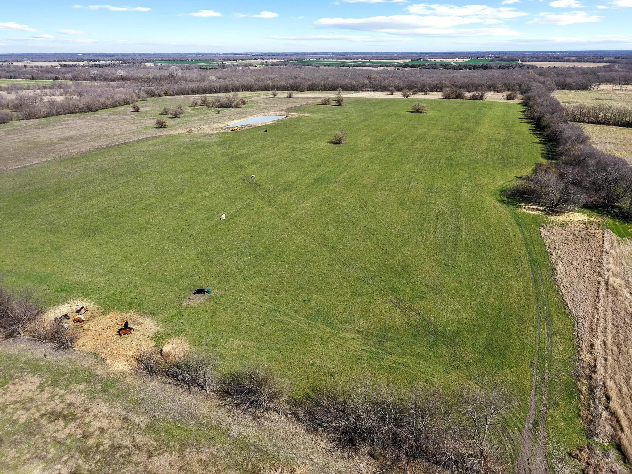 Improved Land For Sale in Hunt County , TBD County Road 4702, Commerce, Texas 75428, 0, 0, Garage spaces, 0 Sqft, built in 0, mls#21188205, Real Estate Agent in Commerce, Homes For Sale in Hunt county, Homes For Sale in Commerce, Realtor in Commerce Texas, Real Estate Brokerage Independent Realty Texas, Luminita Cordes Realtor