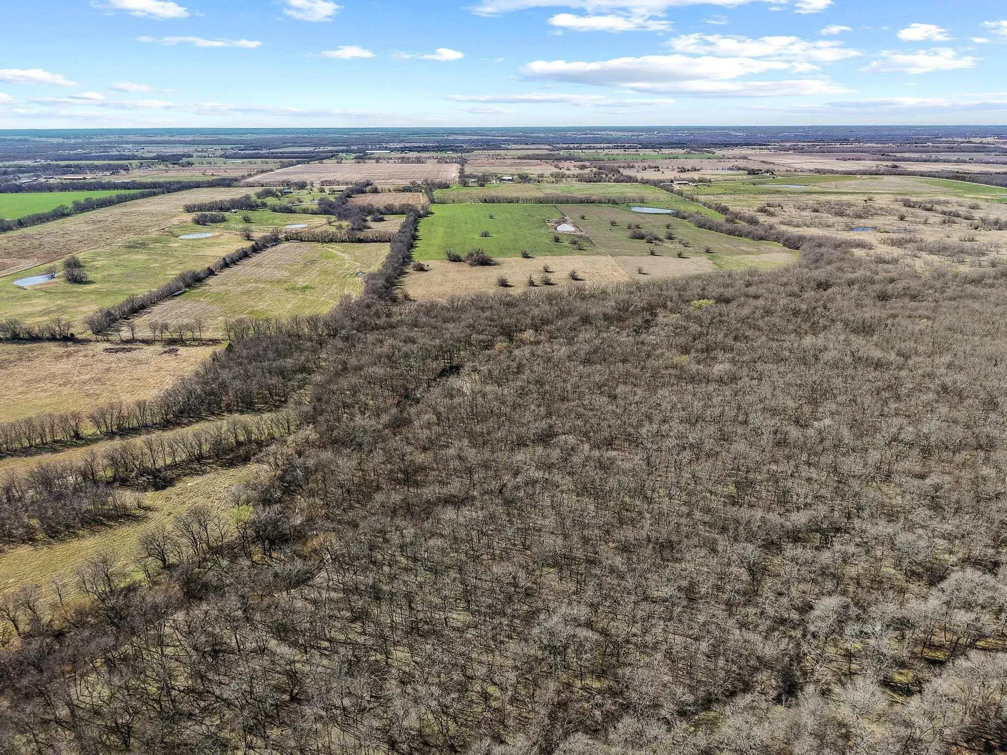 Improved Land For Sale in Hunt County , TBD County Road 4702, Commerce, Texas 75428, 0, 0, Garage spaces, 0 Sqft, built in 0, mls#21188205, Real Estate Agent in Commerce, Homes For Sale in Hunt county, Homes For Sale in Commerce, Realtor in Commerce Texas, Real Estate Brokerage Independent Realty Texas, Luminita Cordes Realtor