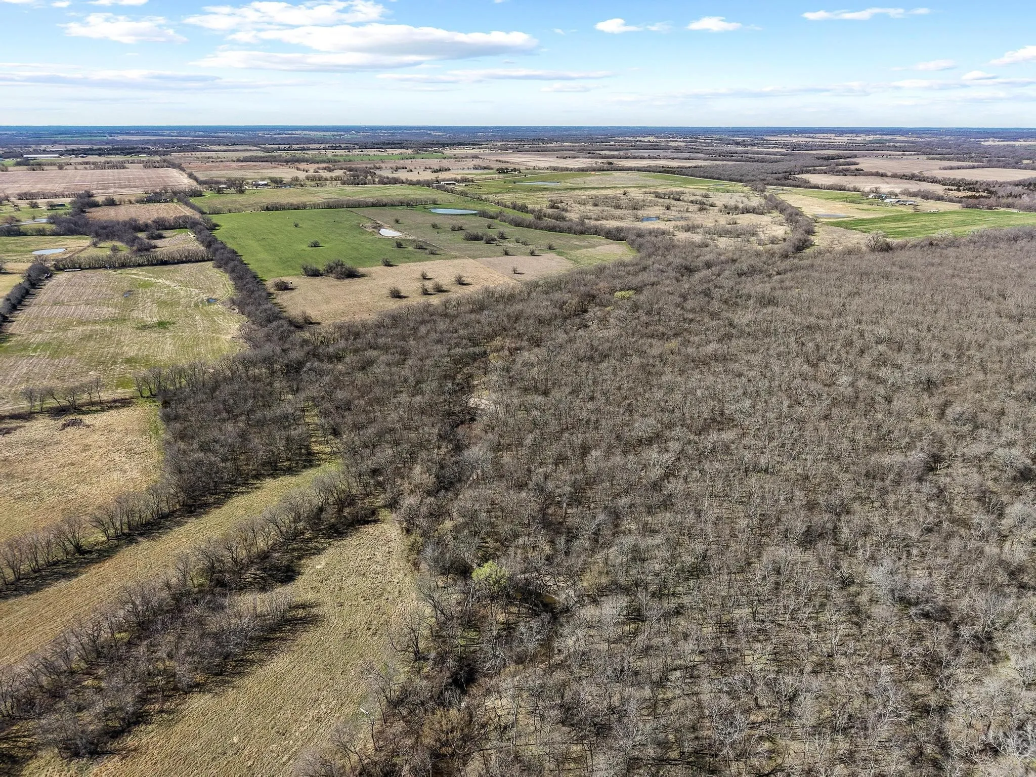 Improved Land For Sale in Hunt County , TBD County Road 4702, Commerce, Texas 75428, 0, 0, Garage spaces, 0 Sqft, built in 0, mls#21188205, Real Estate Agent in Commerce, Homes For Sale in Hunt county, Homes For Sale in Commerce, Realtor in Commerce Texas, Real Estate Brokerage Independent Realty Texas, Luminita Cordes Realtor