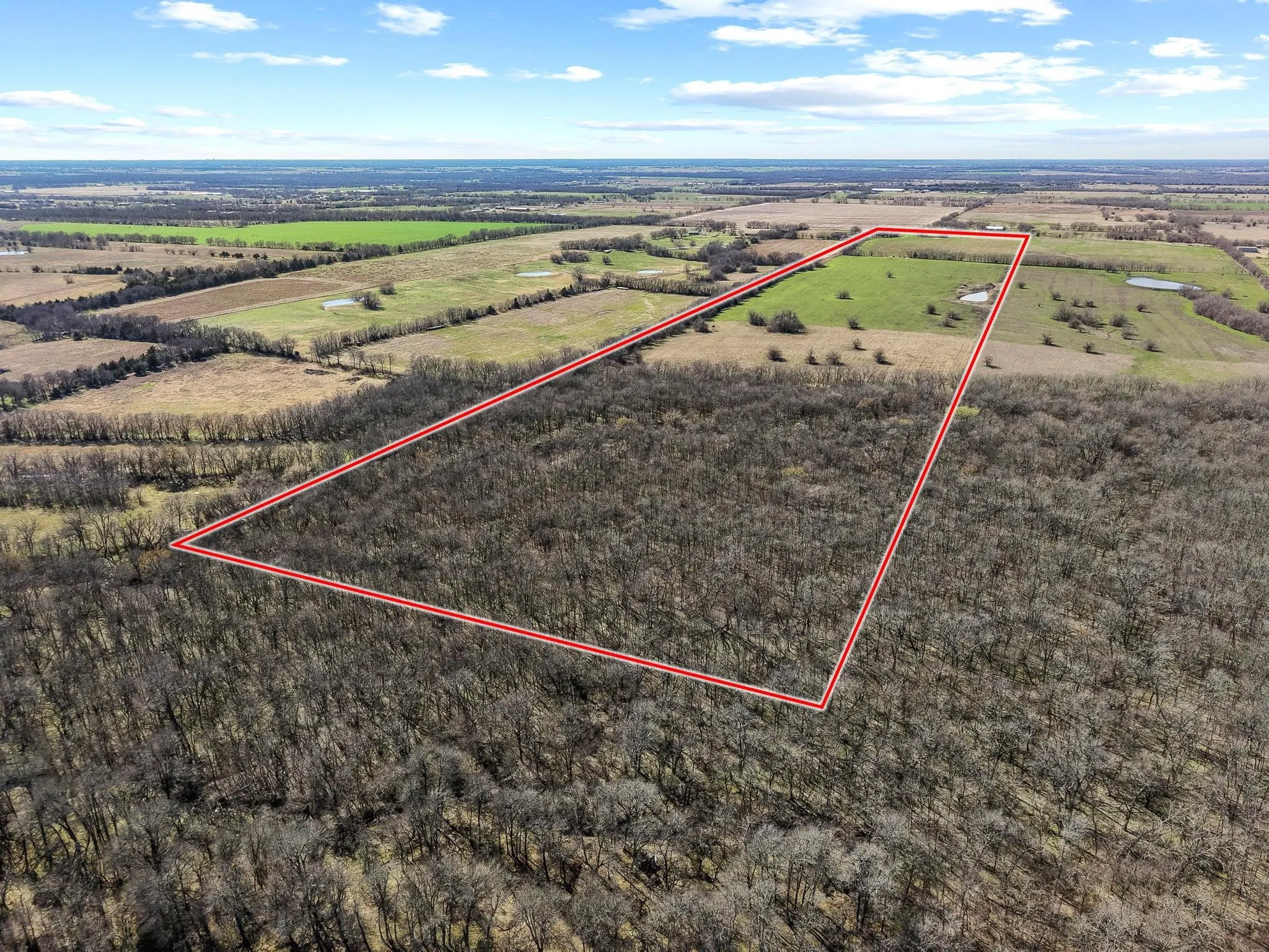 Improved Land For Sale in Hunt County , TBD County Road 4702, Commerce, Texas 75428, 0, 0, Garage spaces, 0 Sqft, built in 0, mls#21188205, Real Estate Agent in Commerce, Homes For Sale in Hunt county, Homes For Sale in Commerce, Realtor in Commerce Texas, Real Estate Brokerage Independent Realty Texas, Luminita Cordes Realtor
