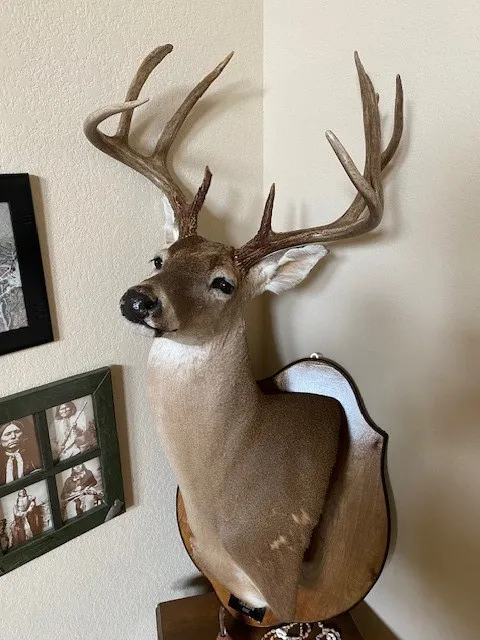 Farm For Sale in Hamilton County , TBD County Road 310, Jonesboro, Texas 76585, 2 Bedrooms, 1 Bathroom, Garage spaces, 1,225 Sqft, built in 2013, Price $850,000, mls#21188090, Real Estate Agent in Jonesboro, Homes For Sale in Hamilton county, Homes For Sale in Jonesboro, Realtor in Jonesboro Texas, Real Estate Brokerage Independent Realty Texas, Luminita Cordes Realtor