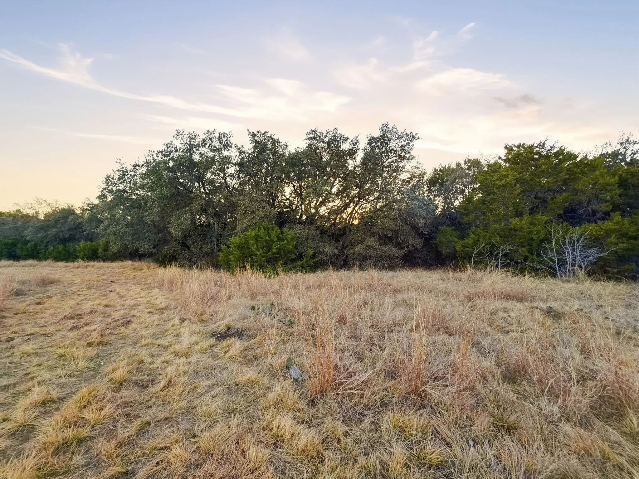 Farm For Sale in Hamilton County , TBD County Road 310, Jonesboro, Texas 76585, 2 Bedrooms, 1 Bathroom, Garage spaces, 1,225 Sqft, built in 2013, Price $850,000, mls#21188090, Real Estate Agent in Jonesboro, Homes For Sale in Hamilton county, Homes For Sale in Jonesboro, Realtor in Jonesboro Texas, Real Estate Brokerage Independent Realty Texas, Luminita Cordes Realtor