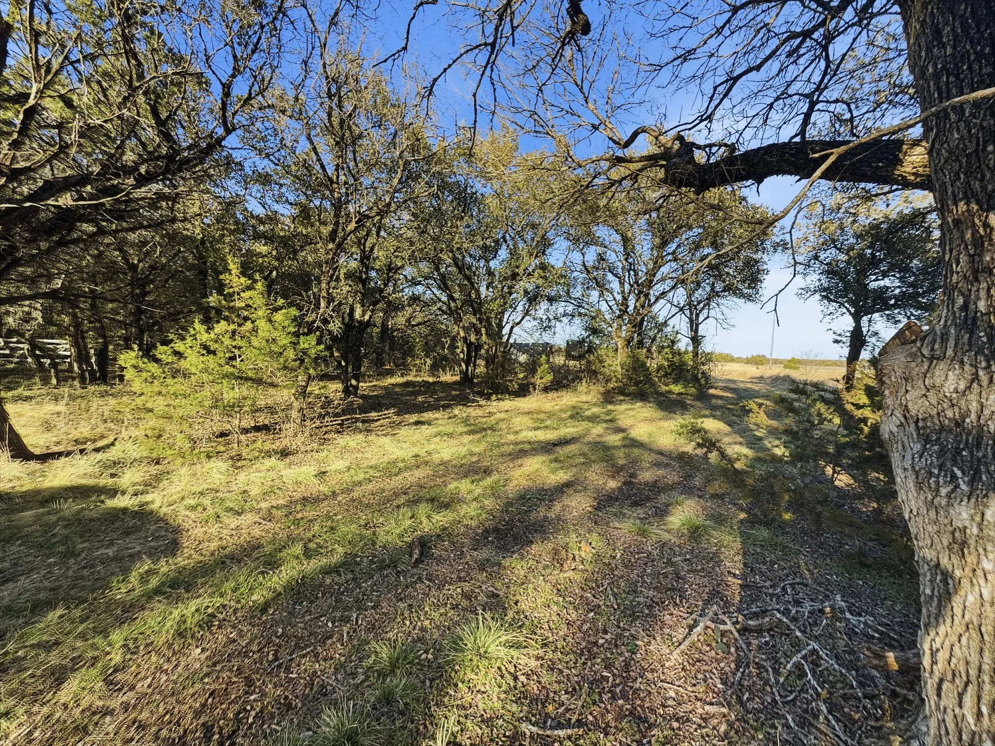 Farm For Sale in Hamilton County , TBD County Road 310, Jonesboro, Texas 76585, 2 Bedrooms, 1 Bathroom, Garage spaces, 1,225 Sqft, built in 2013, Price $850,000, mls#21188090, Real Estate Agent in Jonesboro, Homes For Sale in Hamilton county, Homes For Sale in Jonesboro, Realtor in Jonesboro Texas, Real Estate Brokerage Independent Realty Texas, Luminita Cordes Realtor