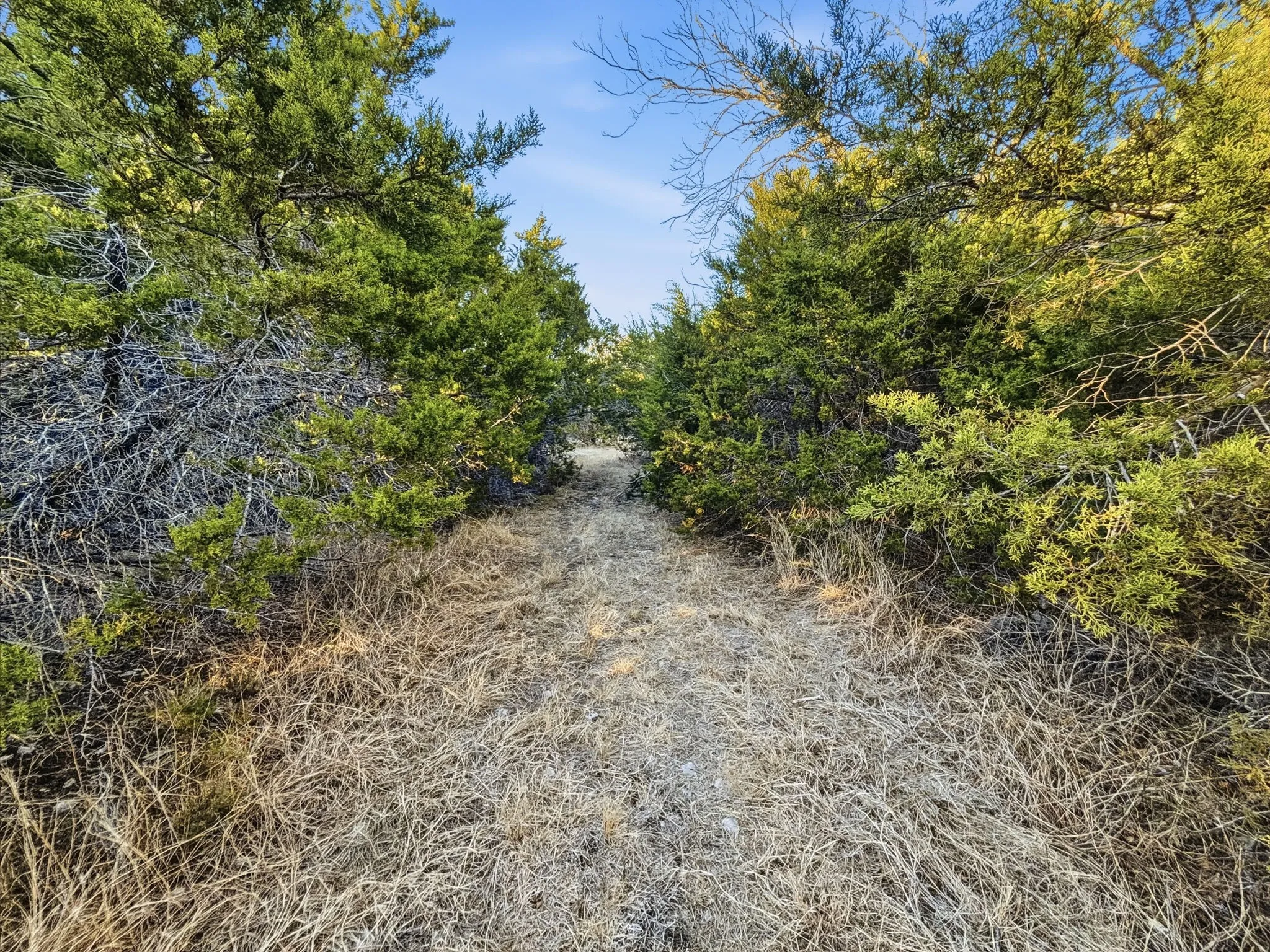 Farm For Sale in Hamilton County , TBD County Road 310, Jonesboro, Texas 76585, 2 Bedrooms, 1 Bathroom, Garage spaces, 1,225 Sqft, built in 2013, Price $850,000, mls#21188090, Real Estate Agent in Jonesboro, Homes For Sale in Hamilton county, Homes For Sale in Jonesboro, Realtor in Jonesboro Texas, Real Estate Brokerage Independent Realty Texas, Luminita Cordes Realtor
