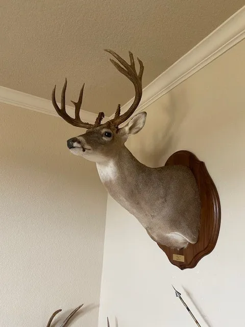 Farm For Sale in Hamilton County , TBD County Road 310, Jonesboro, Texas 76585, 2 Bedrooms, 1 Bathroom, Garage spaces, 1,225 Sqft, built in 2013, Price $850,000, mls#21188090, Real Estate Agent in Jonesboro, Homes For Sale in Hamilton county, Homes For Sale in Jonesboro, Realtor in Jonesboro Texas, Real Estate Brokerage Independent Realty Texas, Luminita Cordes Realtor