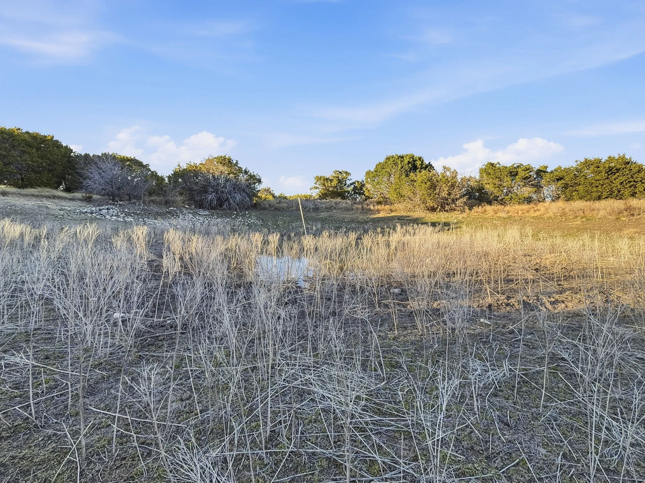 Farm For Sale in Hamilton County , TBD County Road 310, Jonesboro, Texas 76585, 2 Bedrooms, 1 Bathroom, Garage spaces, 1,225 Sqft, built in 2013, Price $850,000, mls#21188090, Real Estate Agent in Jonesboro, Homes For Sale in Hamilton county, Homes For Sale in Jonesboro, Realtor in Jonesboro Texas, Real Estate Brokerage Independent Realty Texas, Luminita Cordes Realtor
