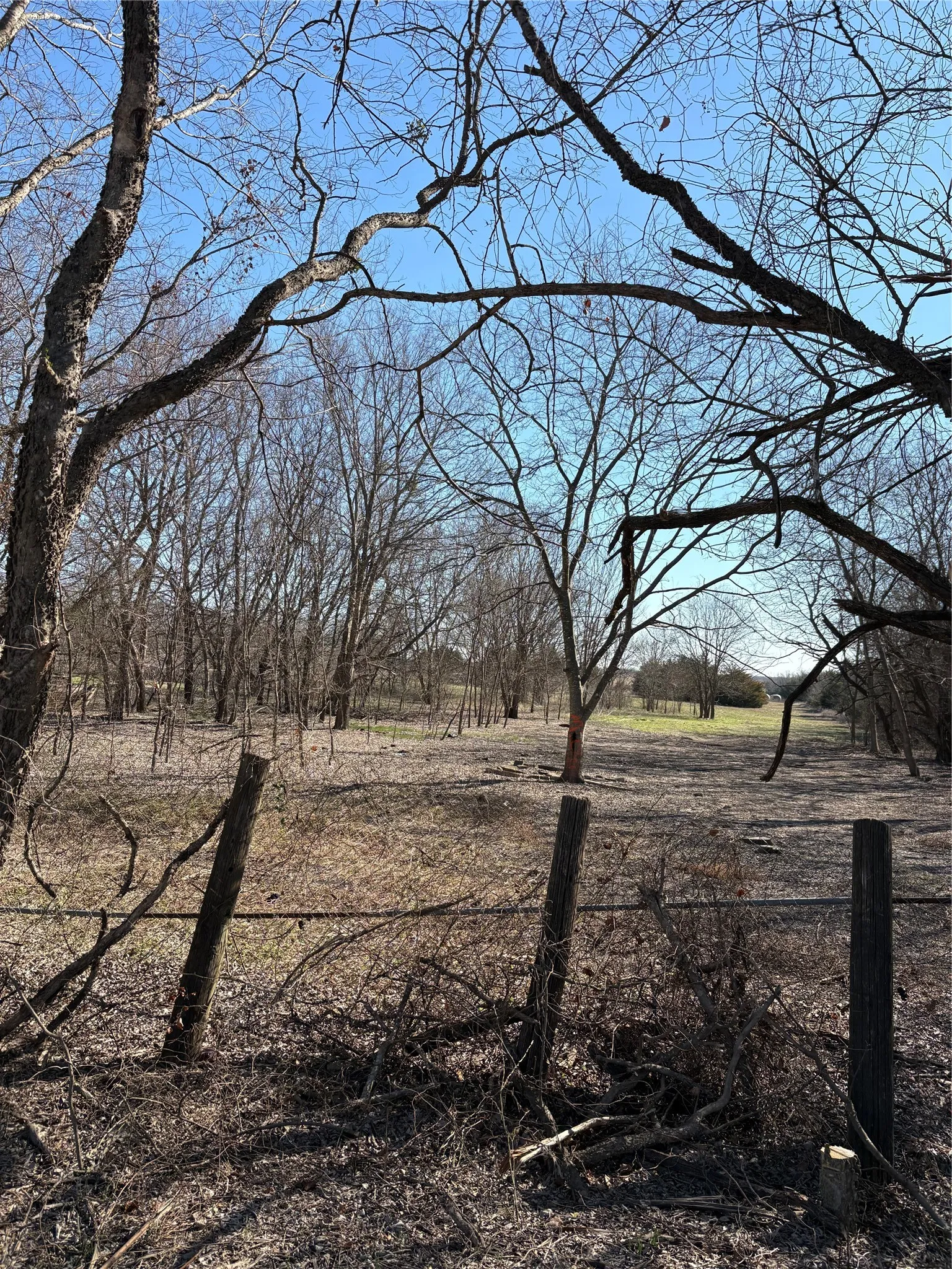 Unimproved Land For Sale in Hunt County , 000 County Road 4518, Wolfe City, Texas 75496, 0, 0, Garage spaces, 0 Sqft, built in 0, Price $214,900, mls#21188430, Real Estate Agent in Wolfe City, Homes For Sale in Hunt county, Homes For Sale in Wolfe City, Realtor in Wolfe City Texas, Real Estate Brokerage Independent Realty Texas, Luminita Cordes Realtor