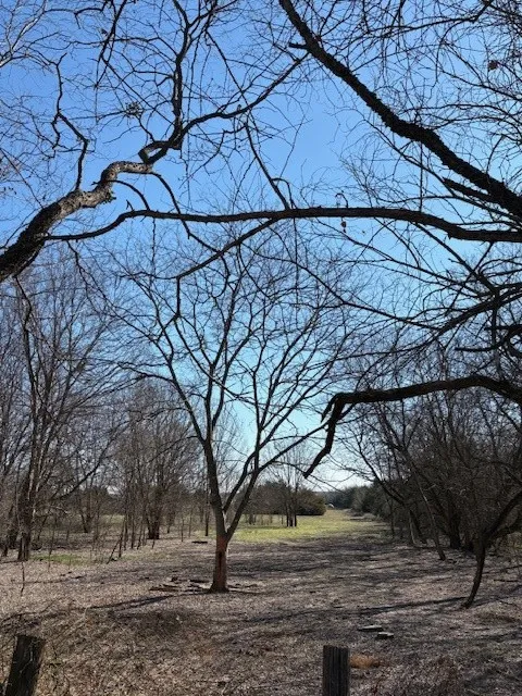 Unimproved Land For Sale in Hunt County , 000 County Road 4518, Wolfe City, Texas 75496, 0, 0, Garage spaces, 0 Sqft, built in 0, Price $214,900, mls#21188430, Real Estate Agent in Wolfe City, Homes For Sale in Hunt county, Homes For Sale in Wolfe City, Realtor in Wolfe City Texas, Real Estate Brokerage Independent Realty Texas, Luminita Cordes Realtor