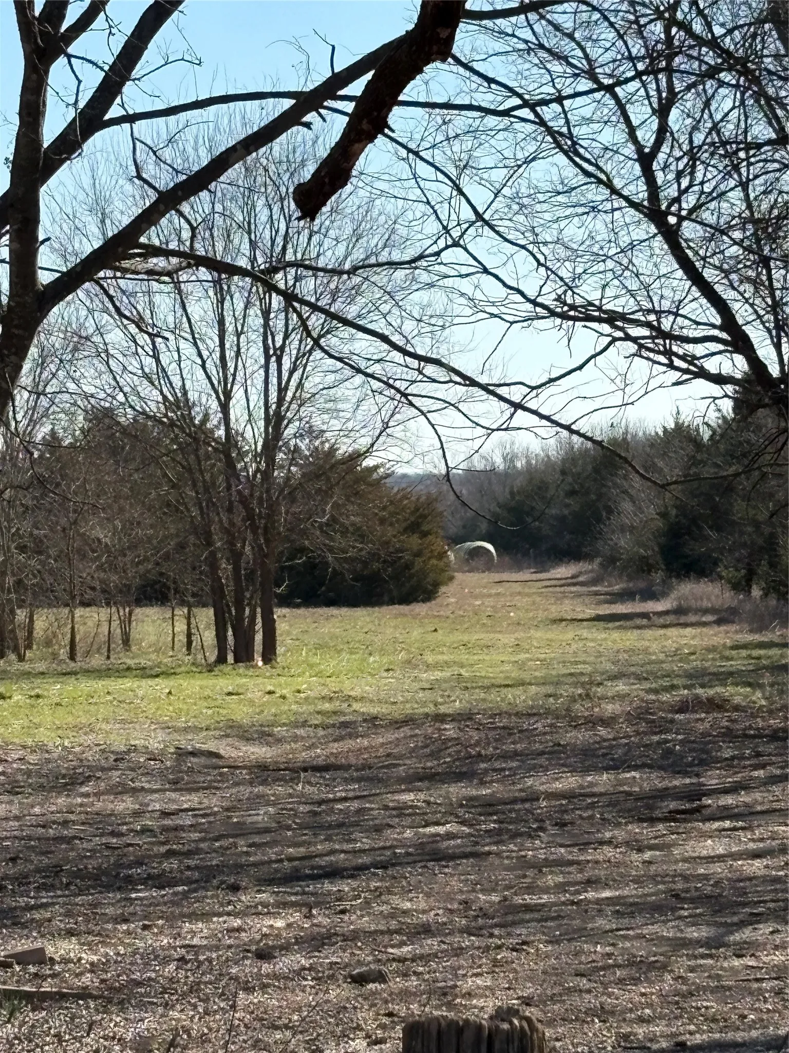 Unimproved Land For Sale in Hunt County , 000 County Road 4518, Wolfe City, Texas 75496, 0, 0, Garage spaces, 0 Sqft, built in 0, Price $214,900, mls#21188430, Real Estate Agent in Wolfe City, Homes For Sale in Hunt county, Homes For Sale in Wolfe City, Realtor in Wolfe City Texas, Real Estate Brokerage Independent Realty Texas, Luminita Cordes Realtor