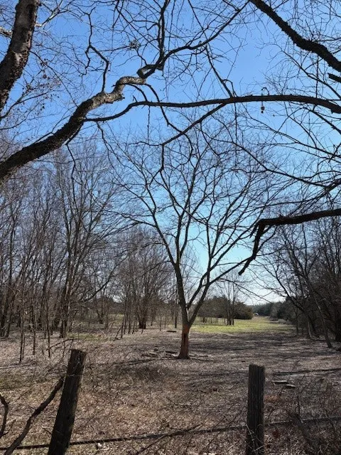 Unimproved Land For Sale in Hunt County , 000 County Road 4518, Wolfe City, Texas 75496, 0, 0, Garage spaces, 0 Sqft, built in 0, Price $214,900, mls#21188430, Real Estate Agent in Wolfe City, Homes For Sale in Hunt county, Homes For Sale in Wolfe City, Realtor in Wolfe City Texas, Real Estate Brokerage Independent Realty Texas, Luminita Cordes Realtor
