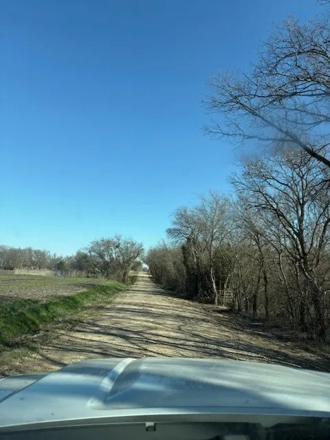 Unimproved Land For Sale in Hunt County , 000 County Road 4518, Wolfe City, Texas 75496, 0, 0, Garage spaces, 0 Sqft, built in 0, Price $214,900, mls#21188430, Real Estate Agent in Wolfe City, Homes For Sale in Hunt county, Homes For Sale in Wolfe City, Realtor in Wolfe City Texas, Real Estate Brokerage Independent Realty Texas, Luminita Cordes Realtor