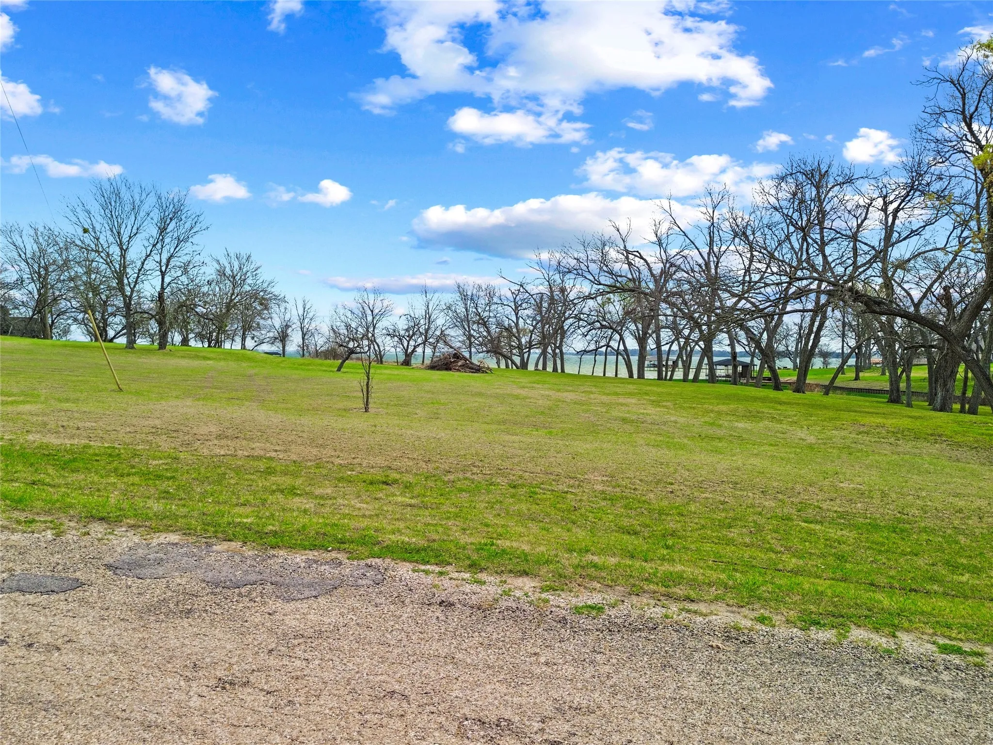 View of green lawn
