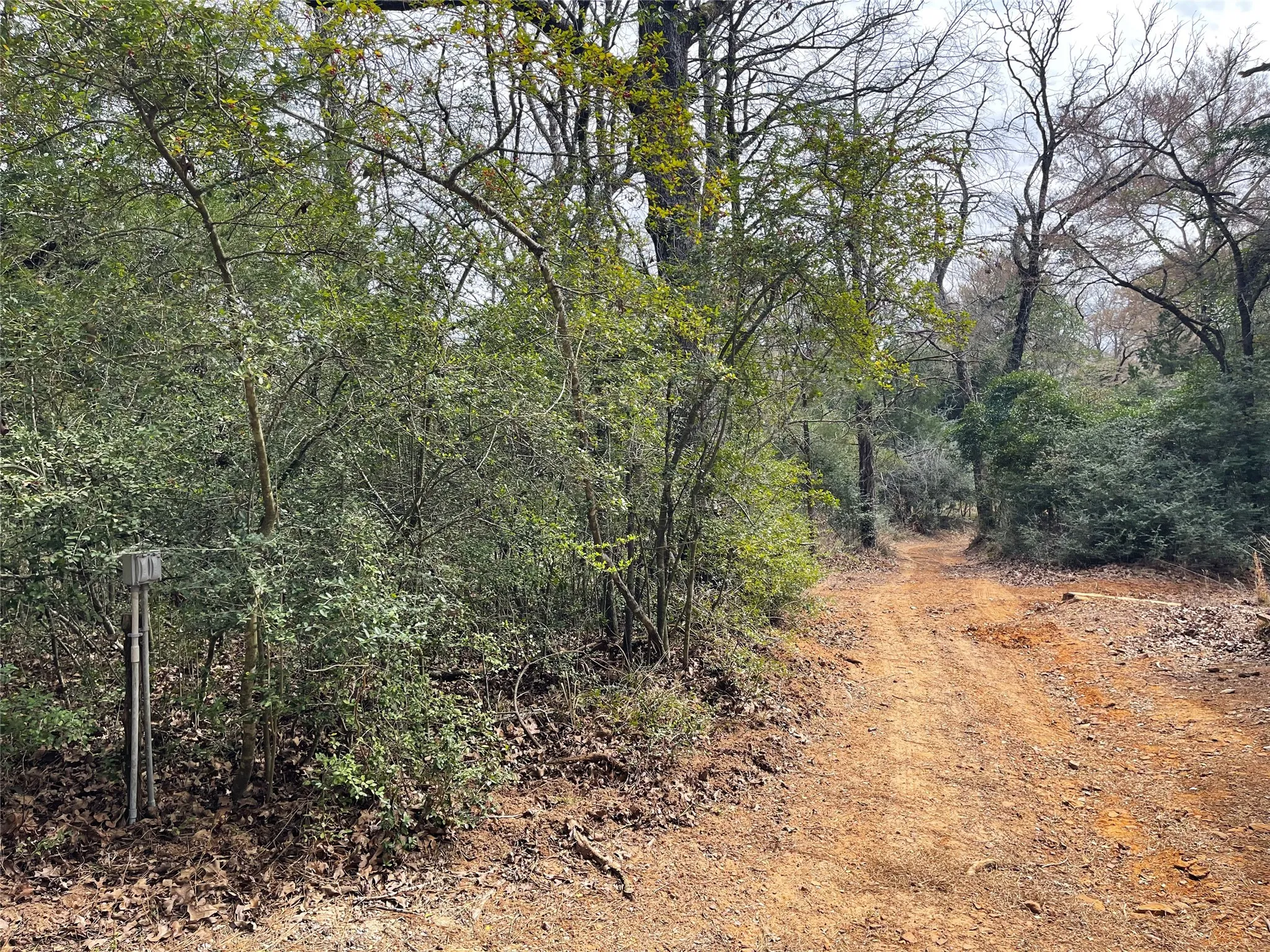 Riding Trails